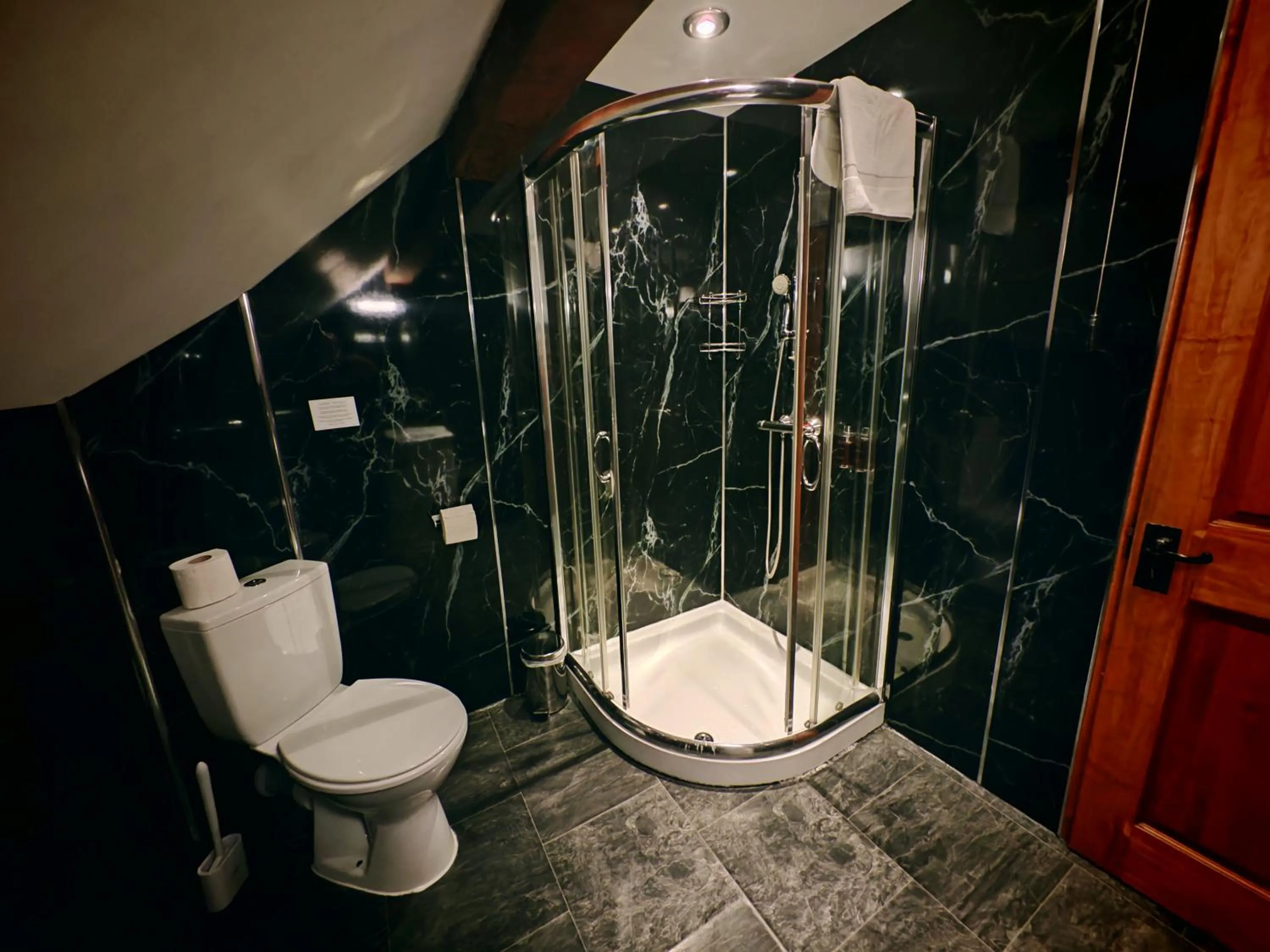 Shower in Dolgun Uchaf Historic B&B and Cottages in Snowdonia