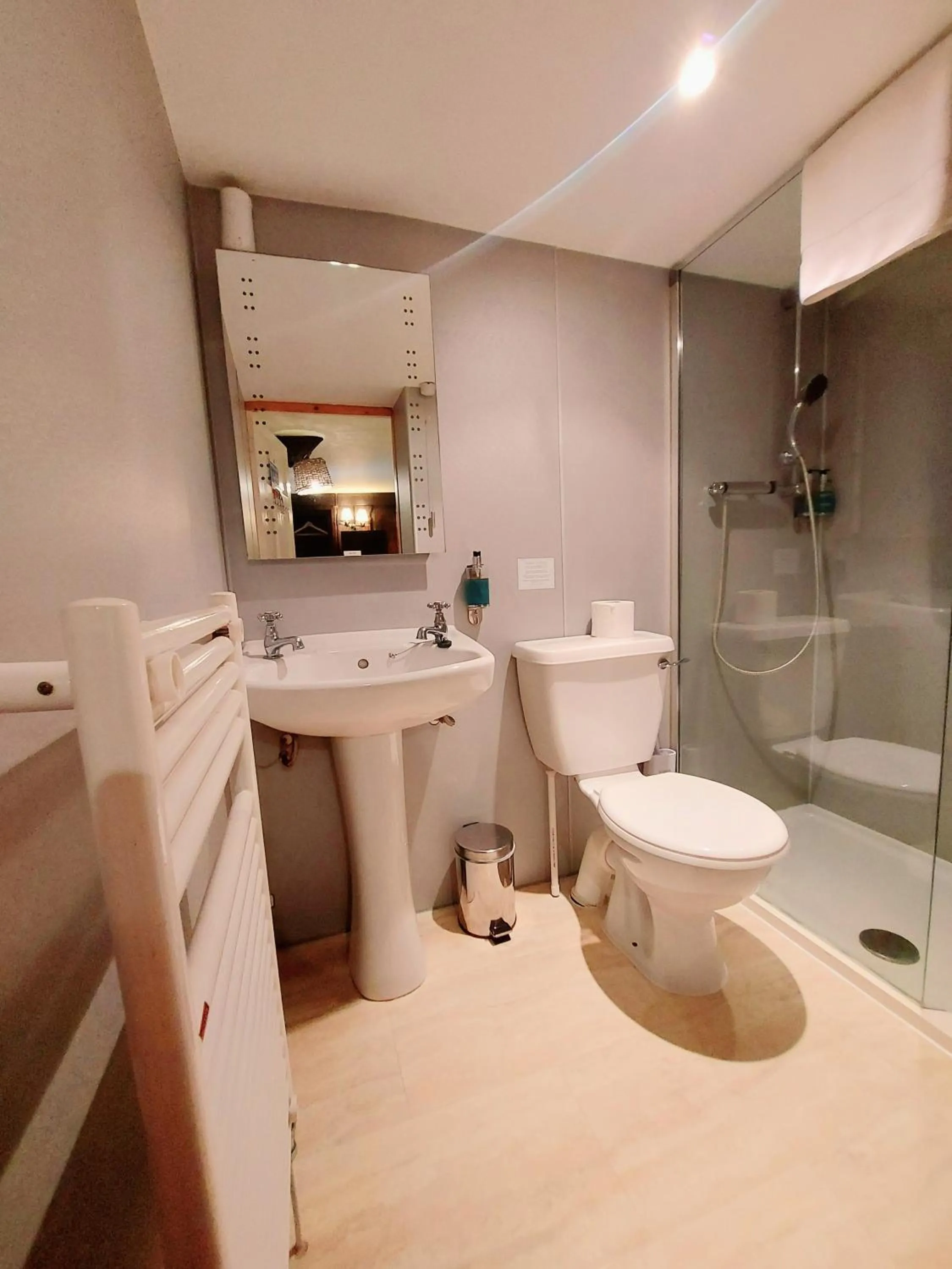 Shower in Dolgun Uchaf Historic B&B and Cottages in Snowdonia