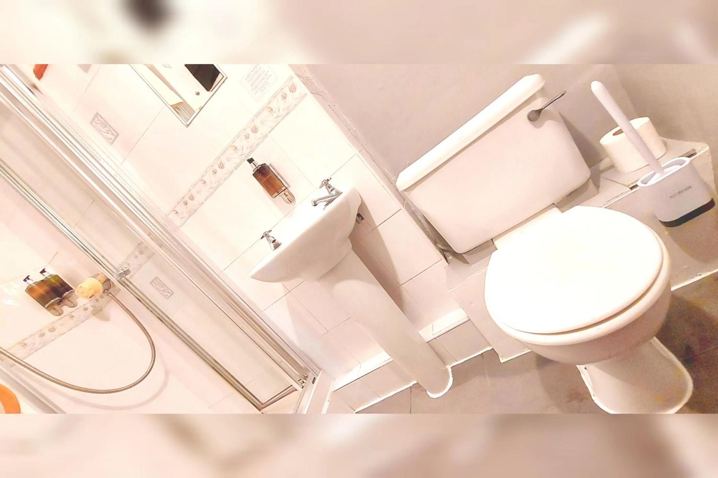 Shower in Dolgun Uchaf Historic B&B and Cottages in Snowdonia