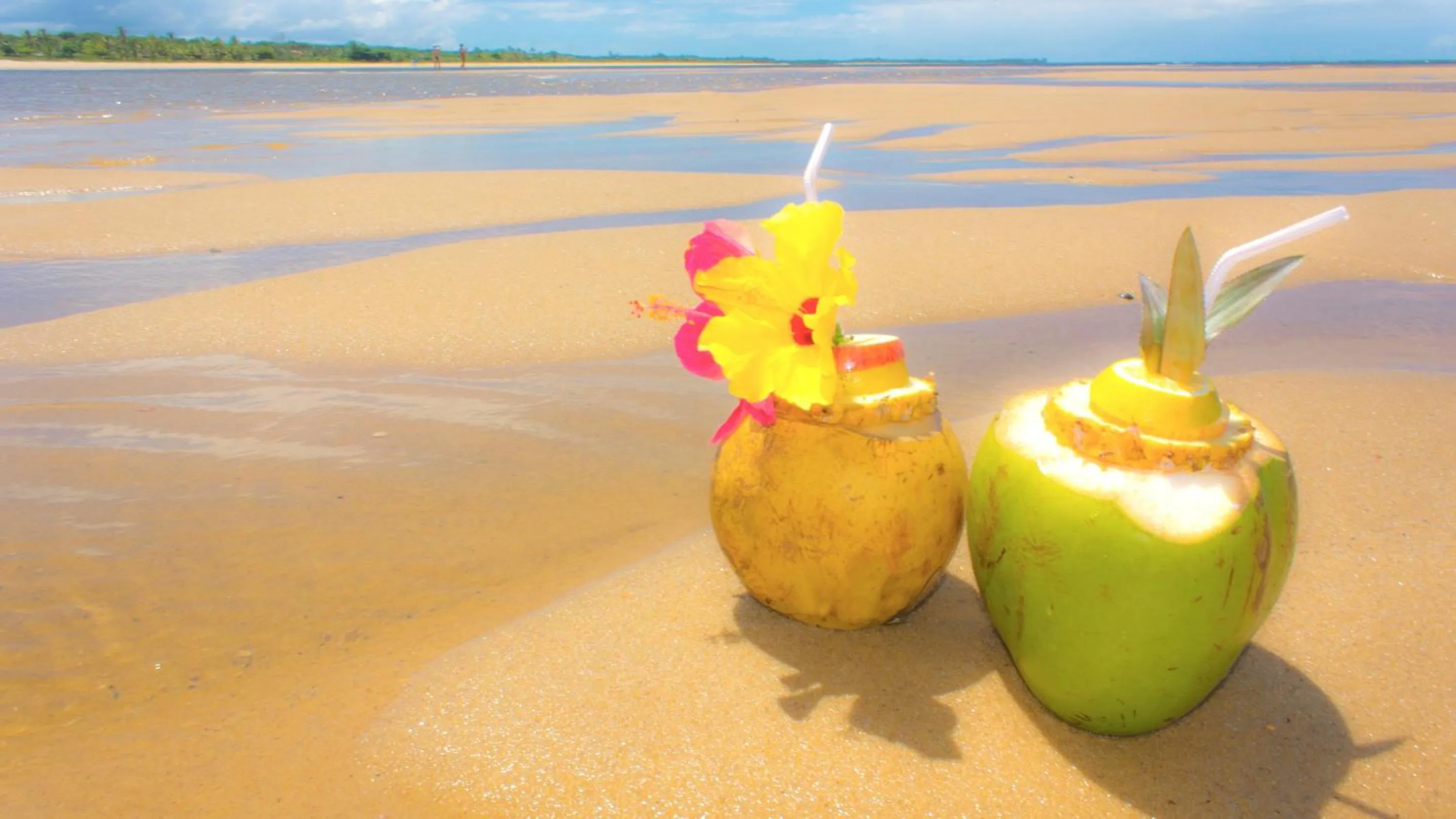 Natural landscape in Hotel Porto Dourado - Rede Bem Bahia