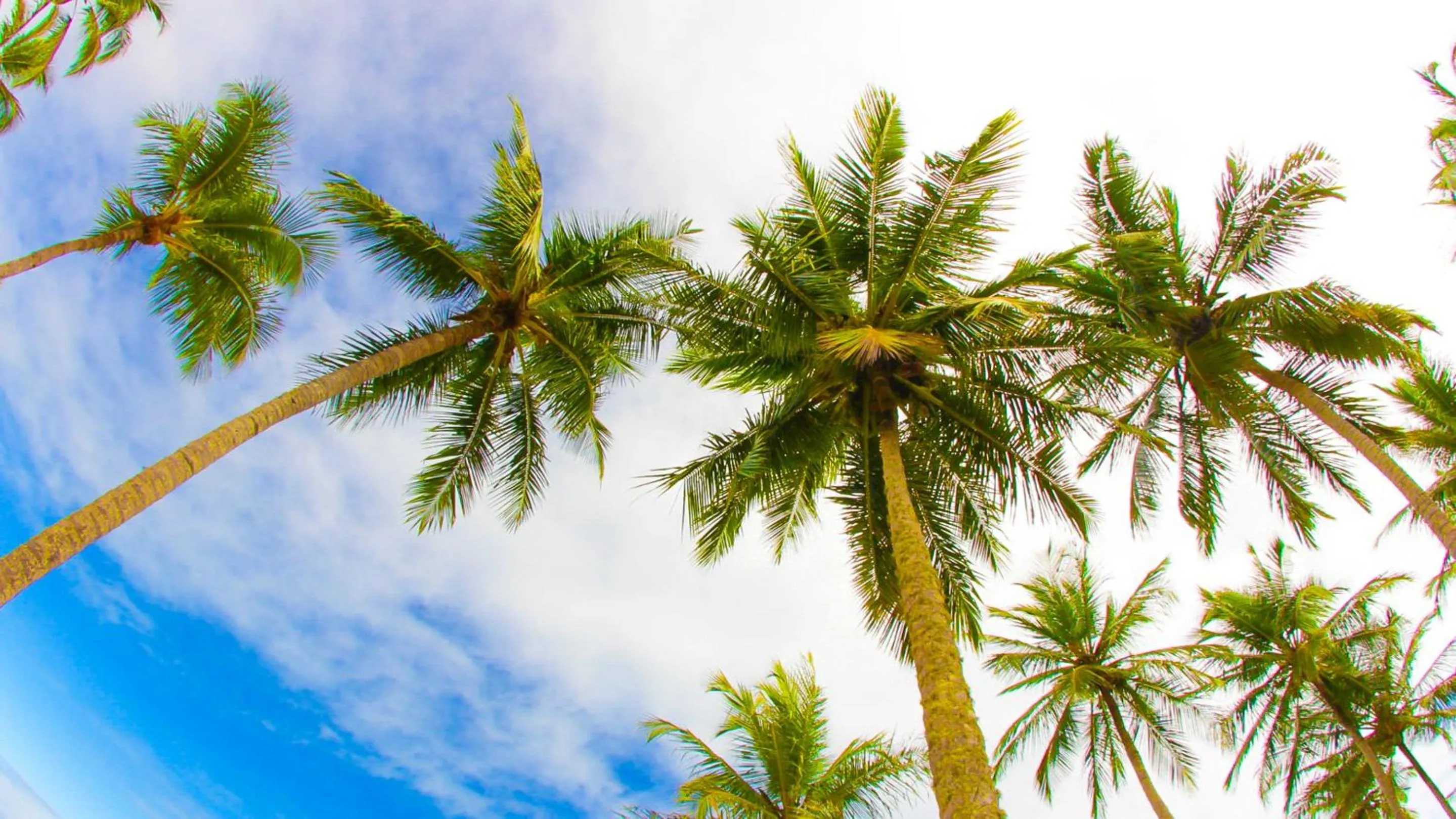 Nearby landmark in Hotel Porto Dourado - Rede Bem Bahia