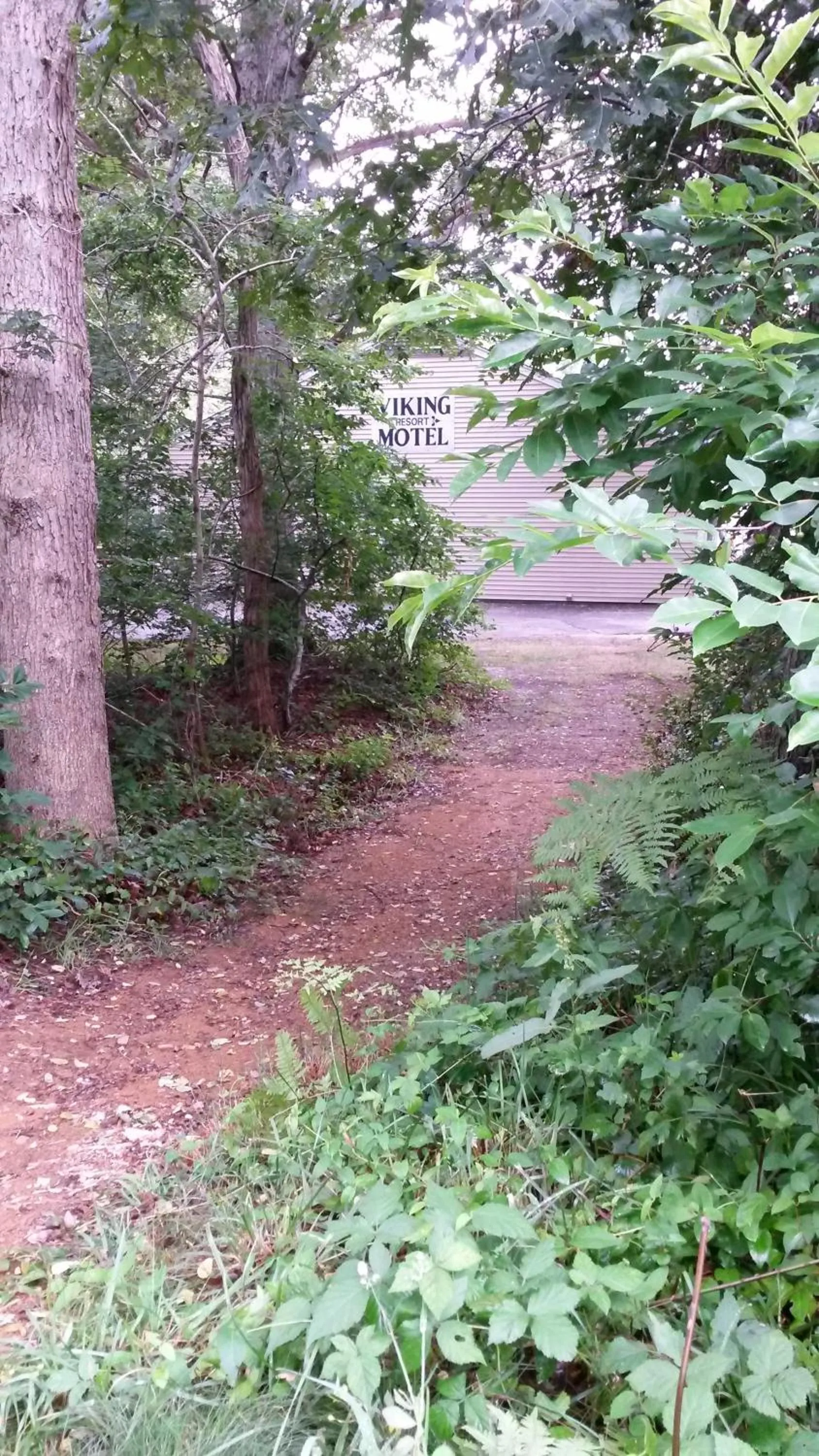 Natural landscape in Viking Shores Motor Inn