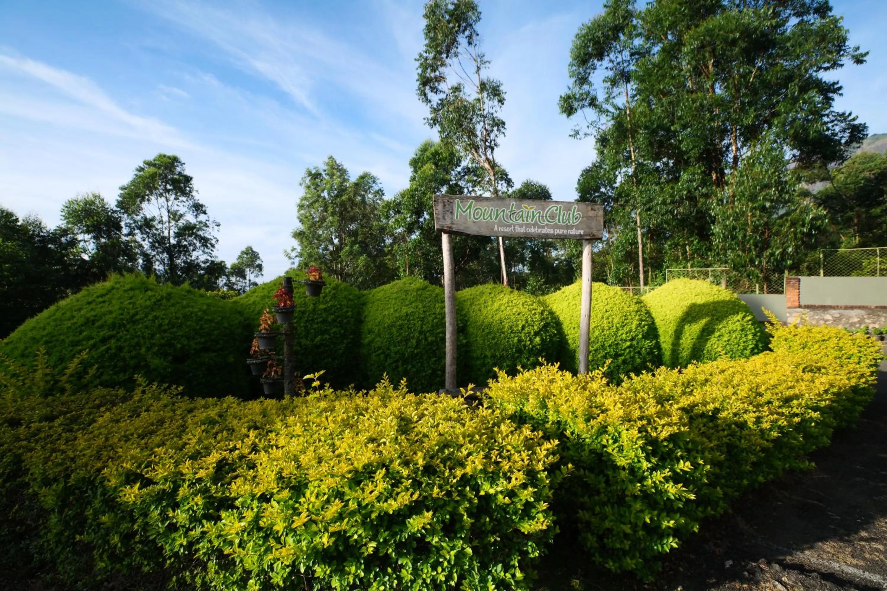 Natural landscape in Mountain Club Resort Munnar