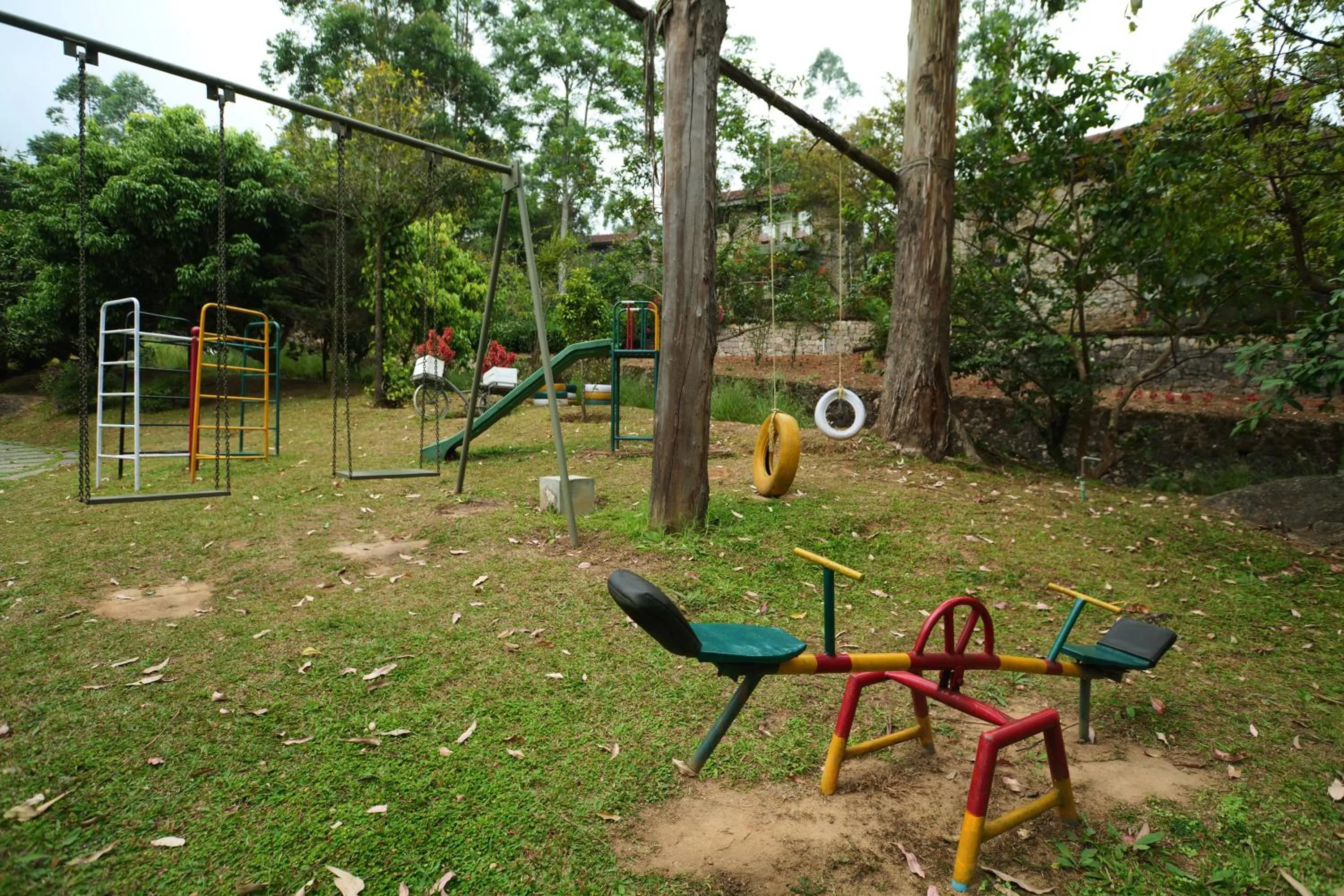 Natural landscape in Mountain Club Resort Munnar