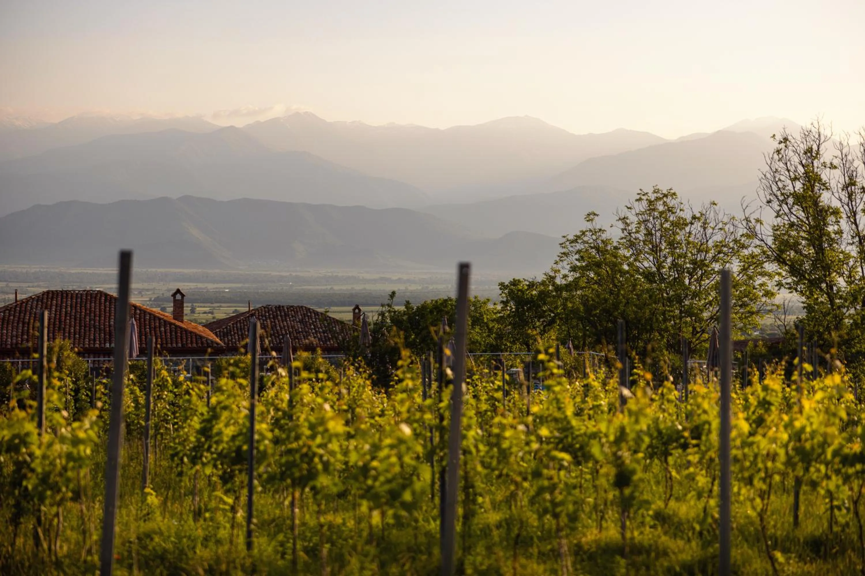 Mountain view in Schuchmann Wines Château,Villas & SPA