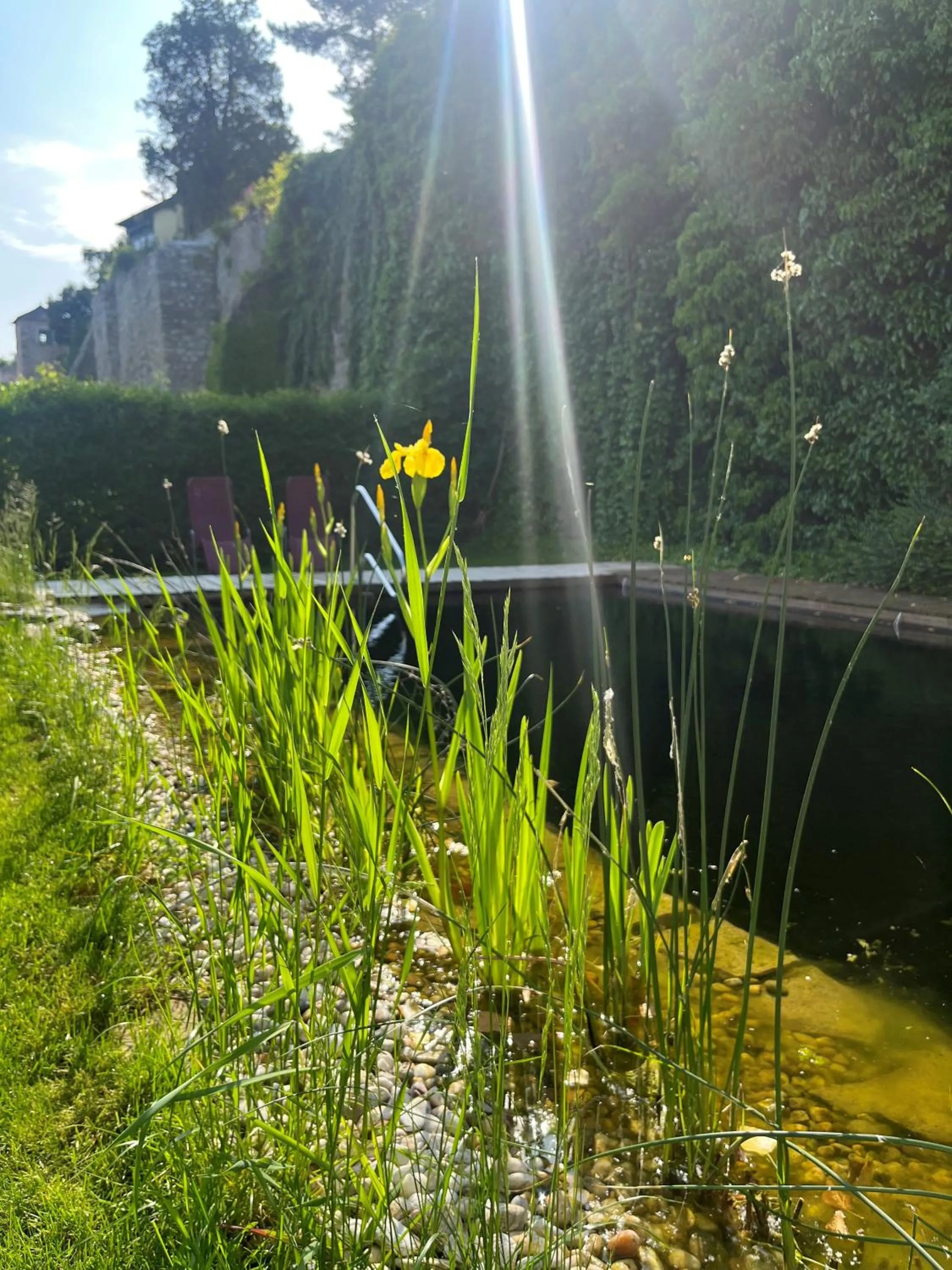 Swimming pool in Gasthof zum Goldenen Anker