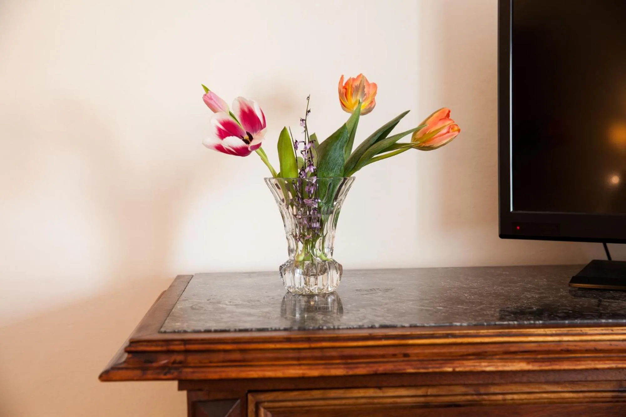 TV and multimedia in Gasthof zum Goldenen Anker