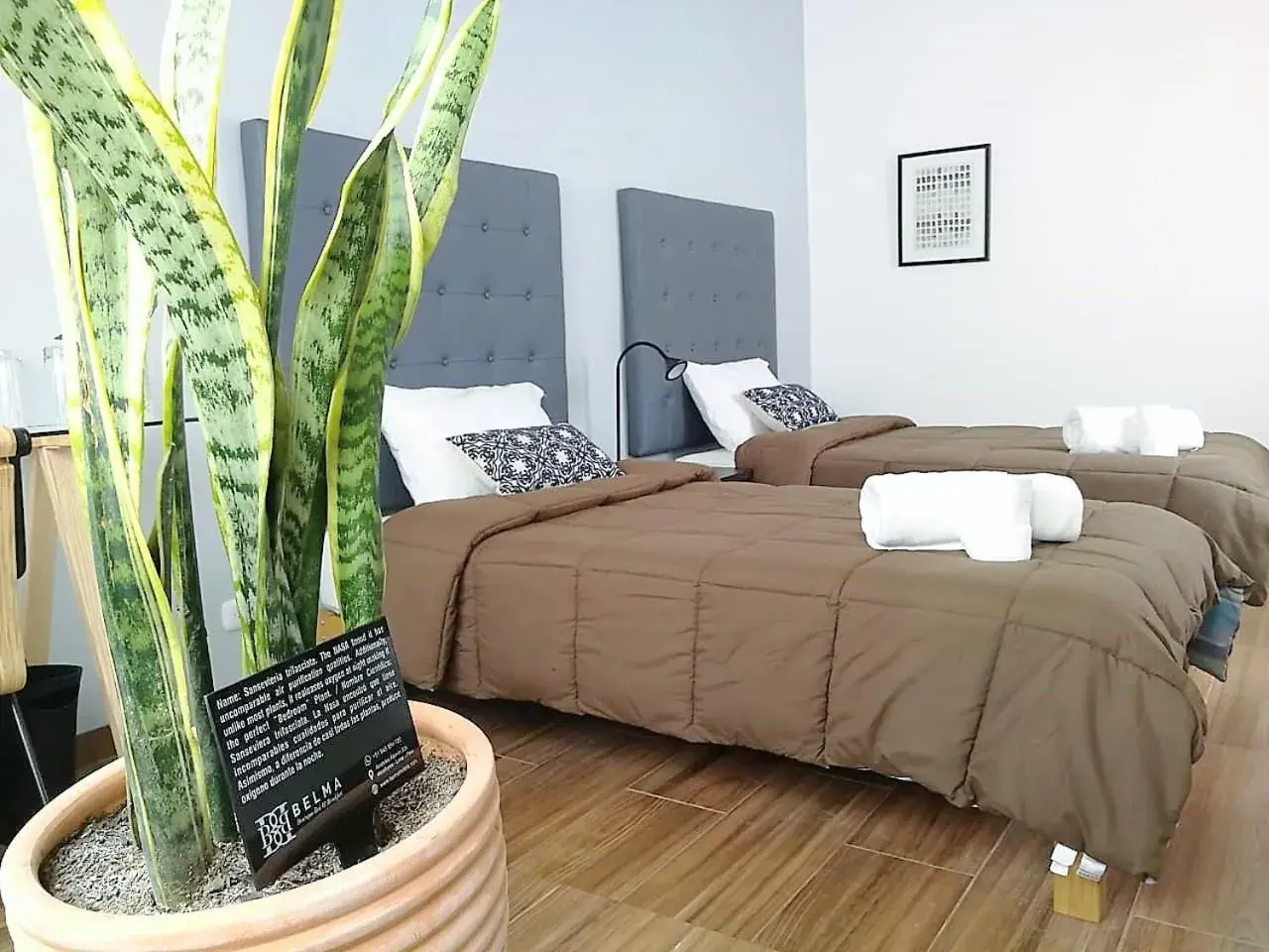 Twin Room with Private Bathroom in Belma Boutique Bed and Breakfast Twin Room with Private Bathroom in Belma Boutique Bed and Breakfast