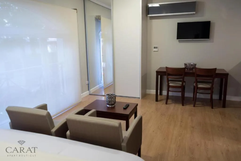 Communal lounge/ TV room in Hotel Carat Apart Boutique