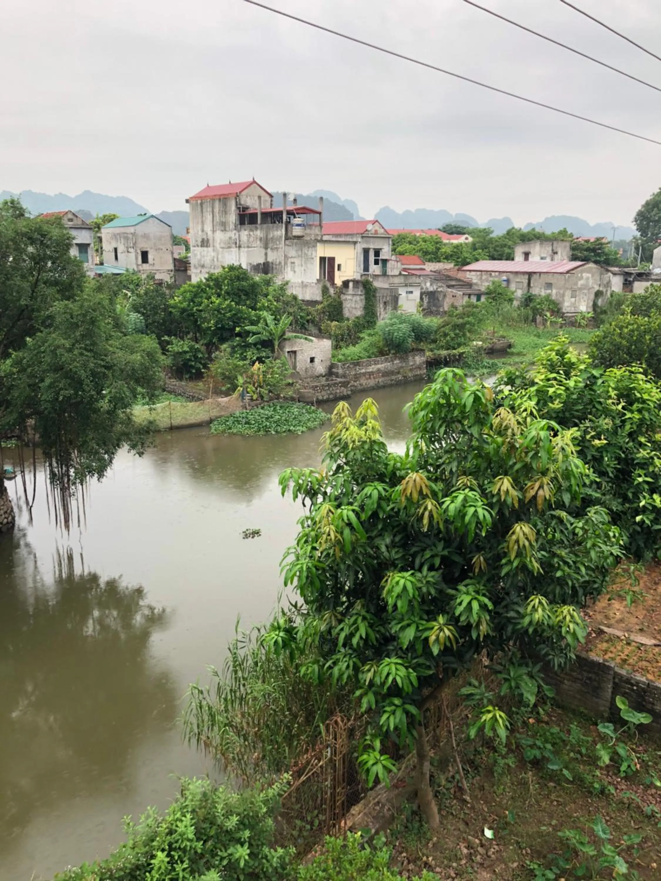 Garden view in Tam Coc - Thành Homestay