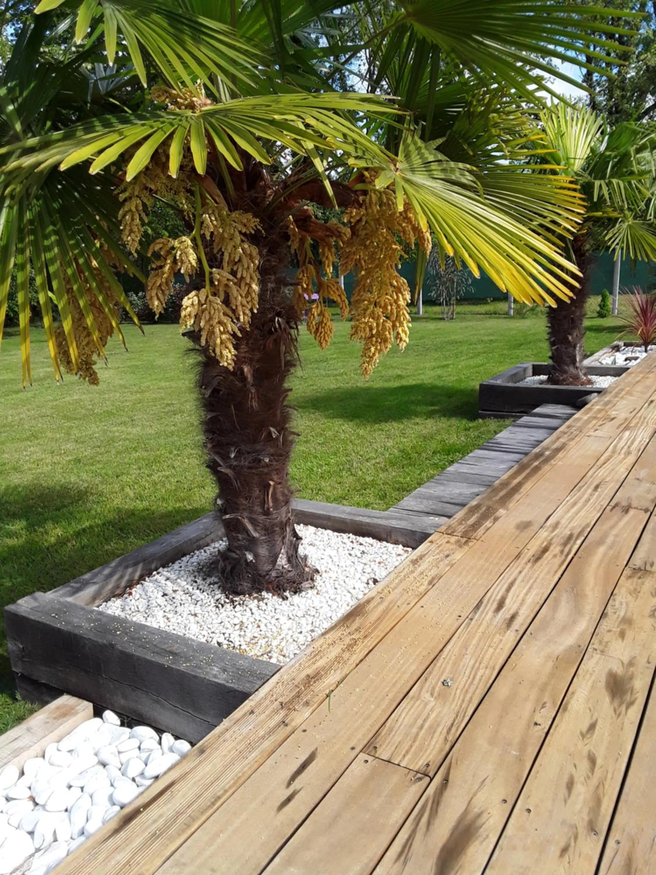Garden in Chambre d'hôtes les Iris à Mios sur le Bassin d'Arcachon