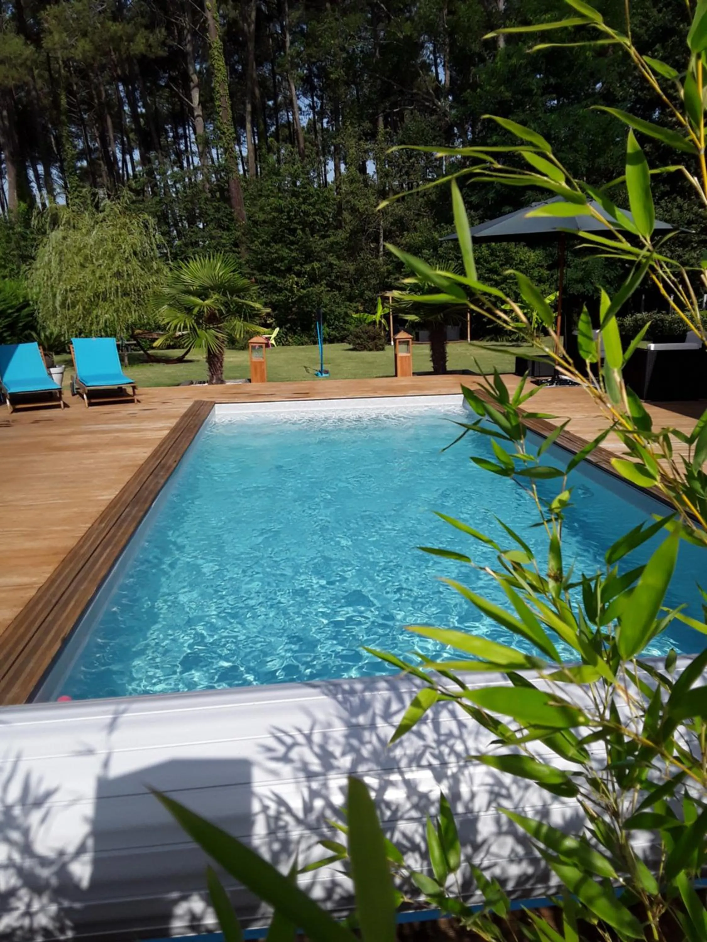 Garden in Chambre d'hôtes les Iris à Mios sur le Bassin d'Arcachon