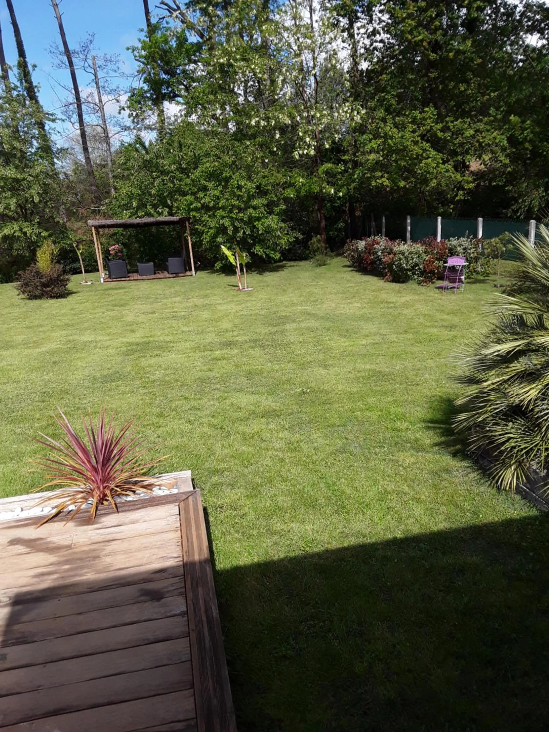 Garden in Chambre d'hôtes les Iris à Mios sur le Bassin d'Arcachon