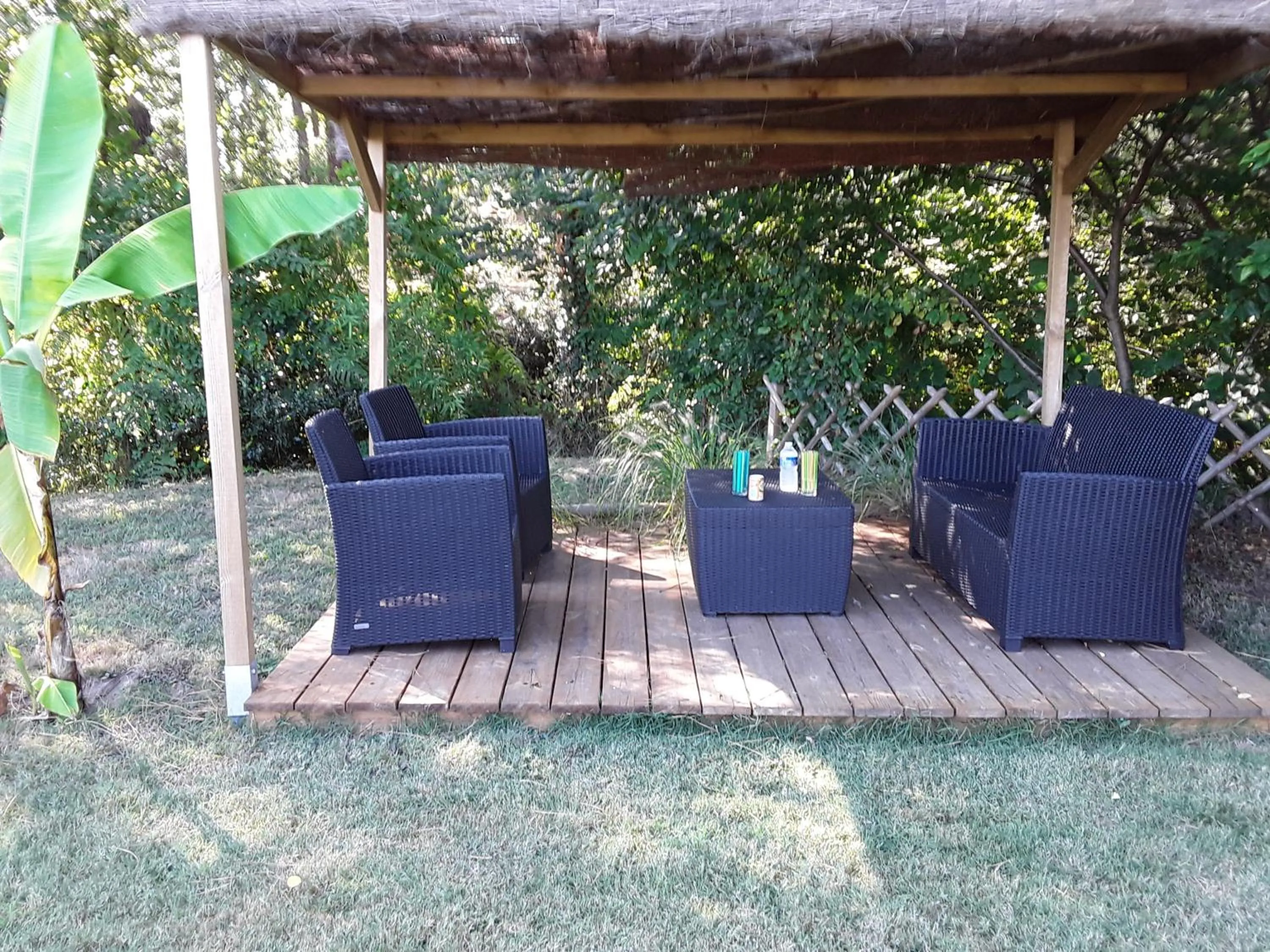 Garden in Chambre d'hôtes les Iris à Mios sur le Bassin d'Arcachon