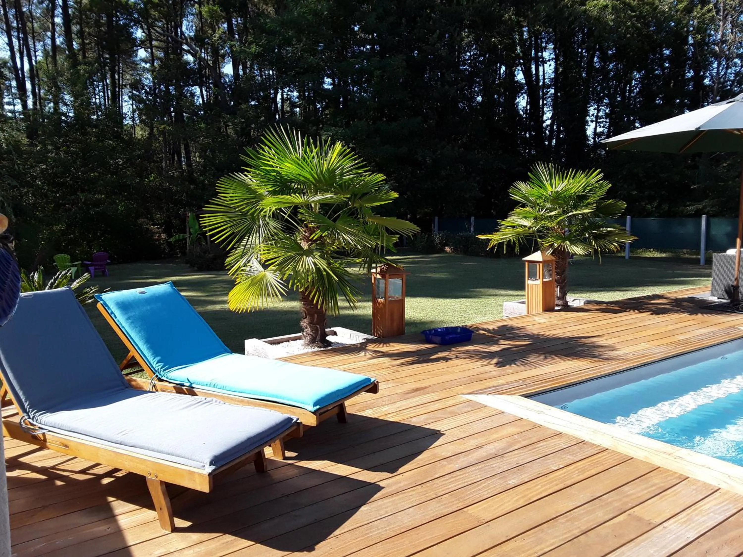 Garden in Chambre d'hôtes les Iris à Mios sur le Bassin d'Arcachon