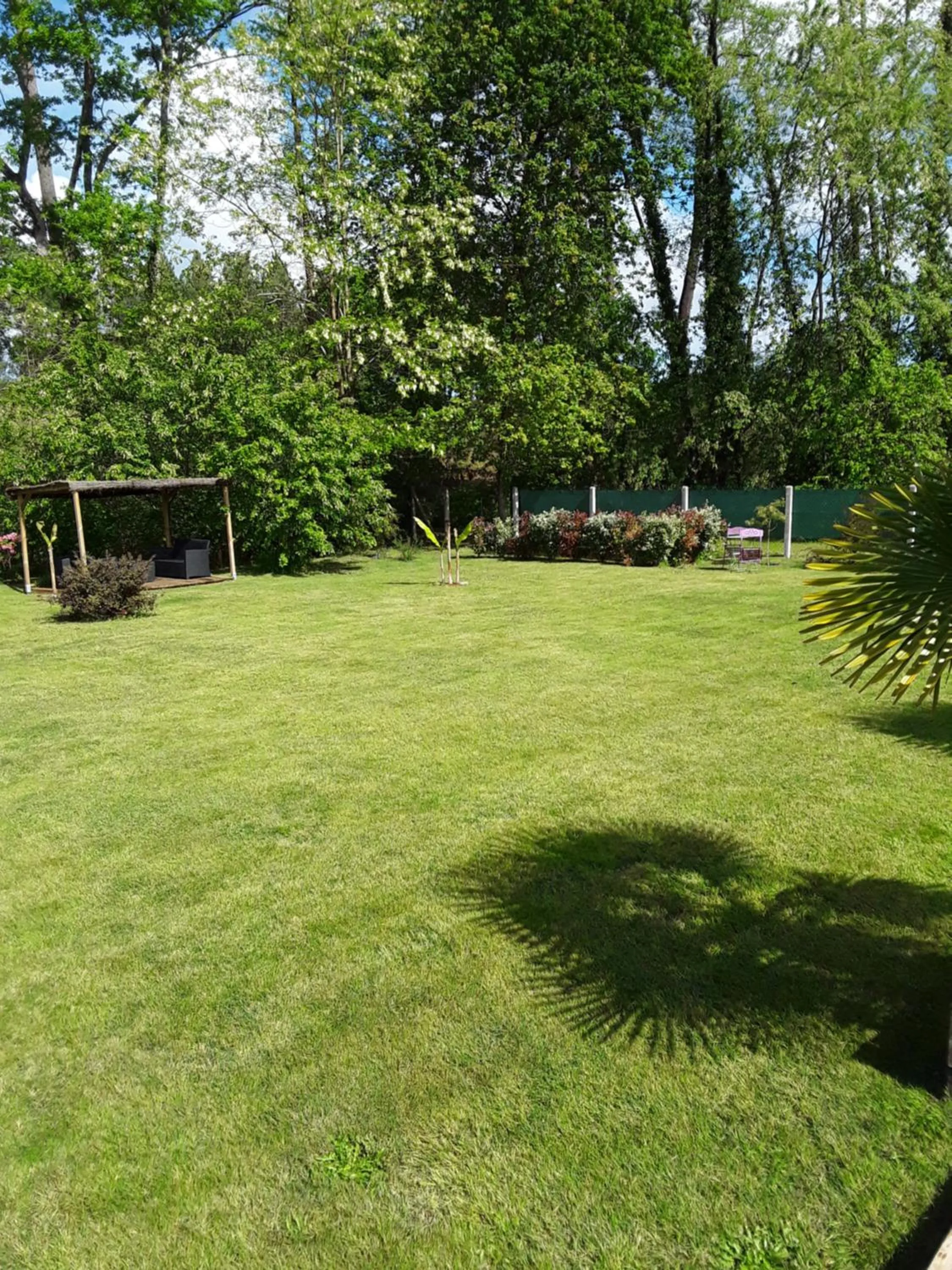 Garden in Chambre d'hôtes les Iris à Mios sur le Bassin d'Arcachon