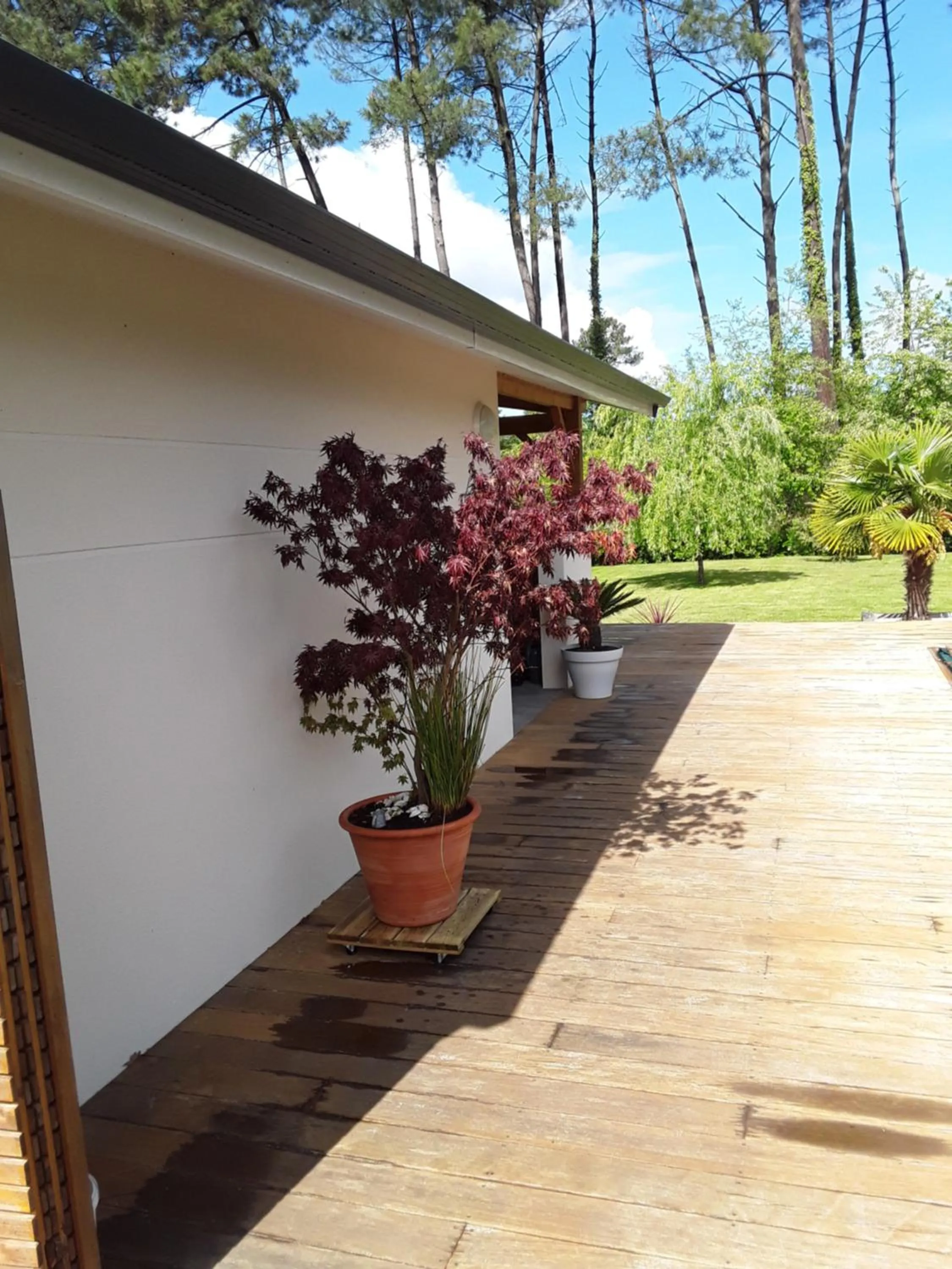 Garden in Chambre d'hôtes les Iris à Mios sur le Bassin d'Arcachon