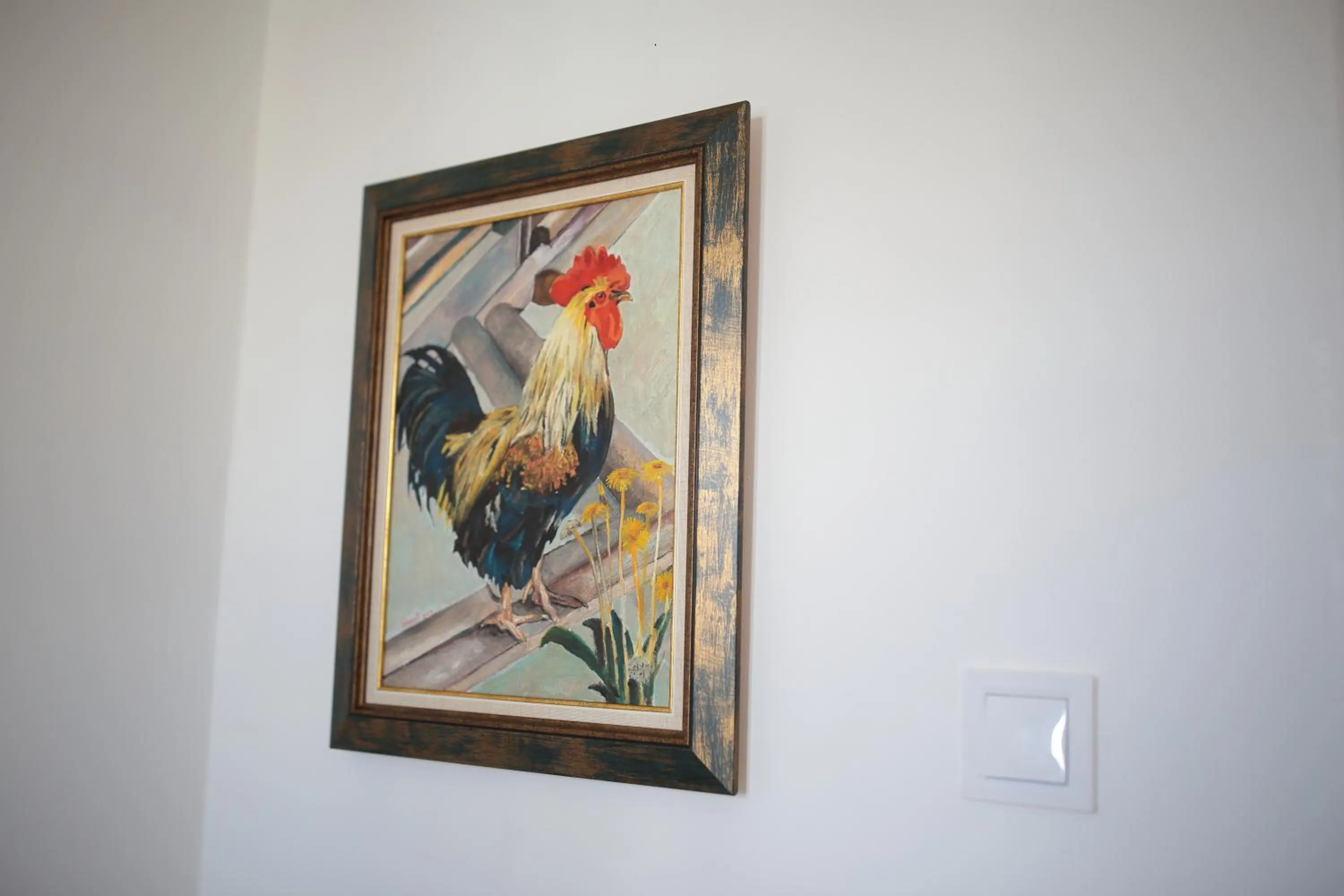 Bed in Hostel Musala