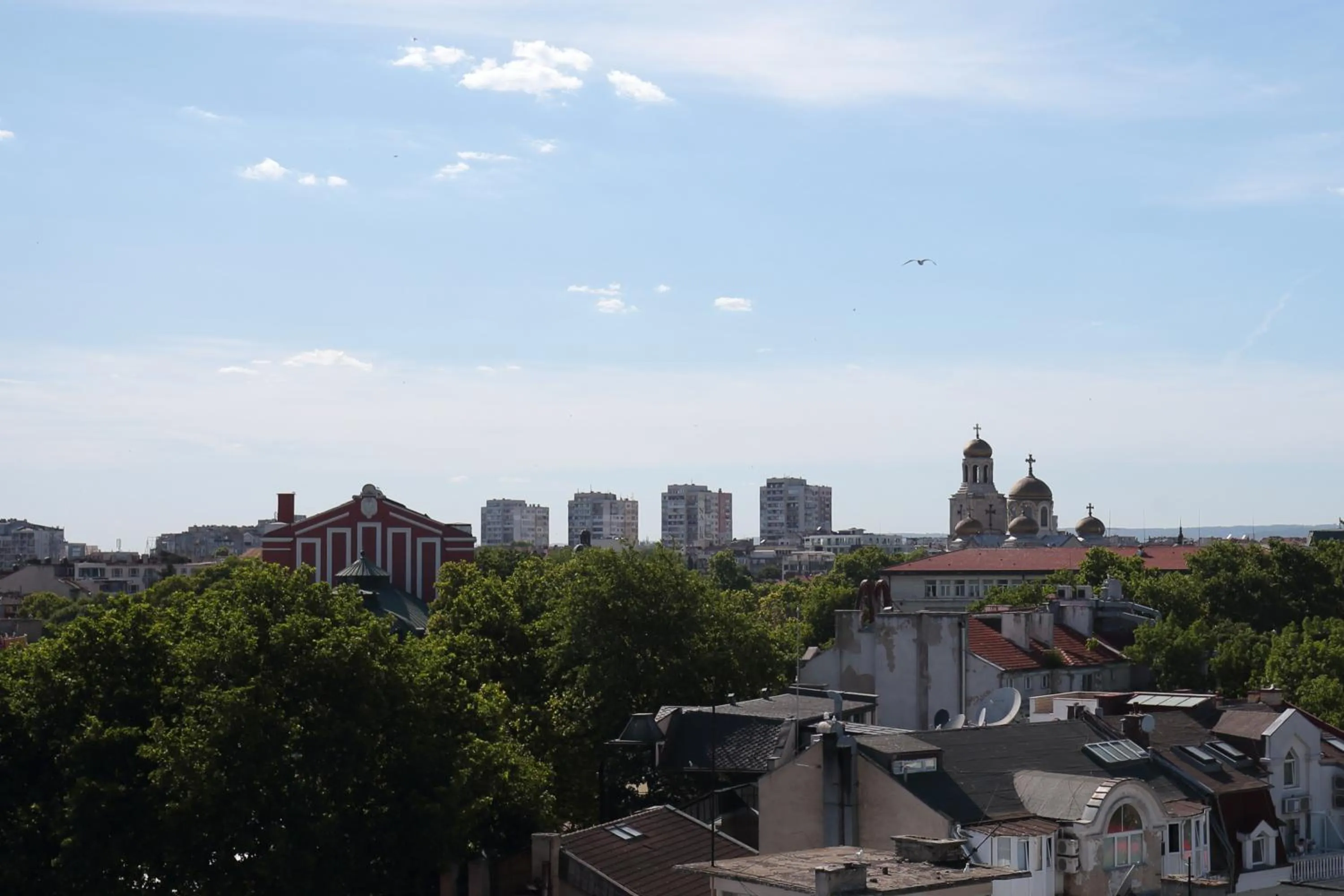 Day in Hostel Musala