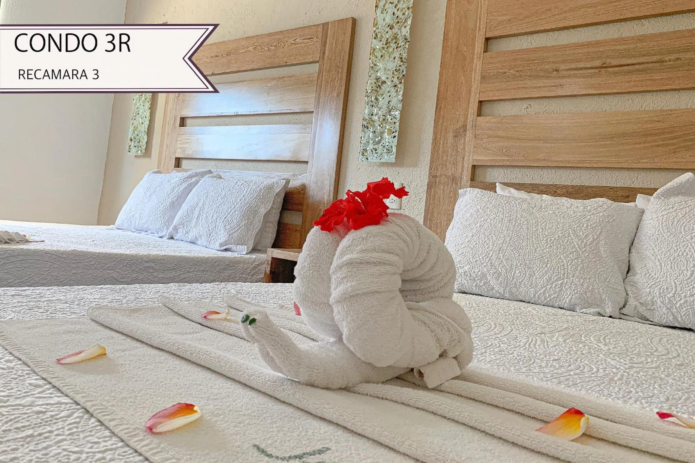 Bed in Condominios JAROJE