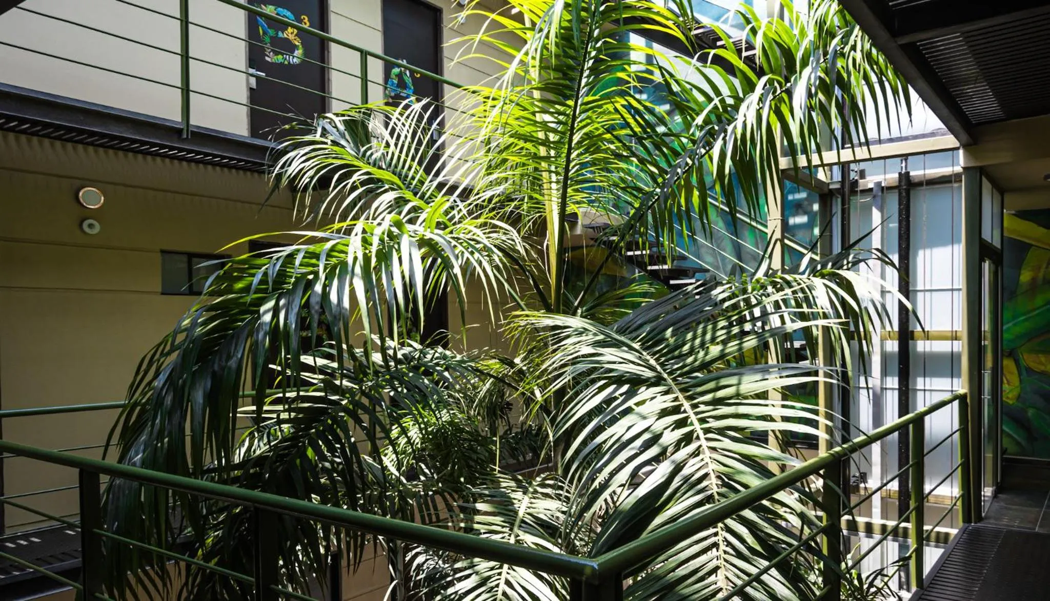 Garden in Oasis Fresh Hotel
