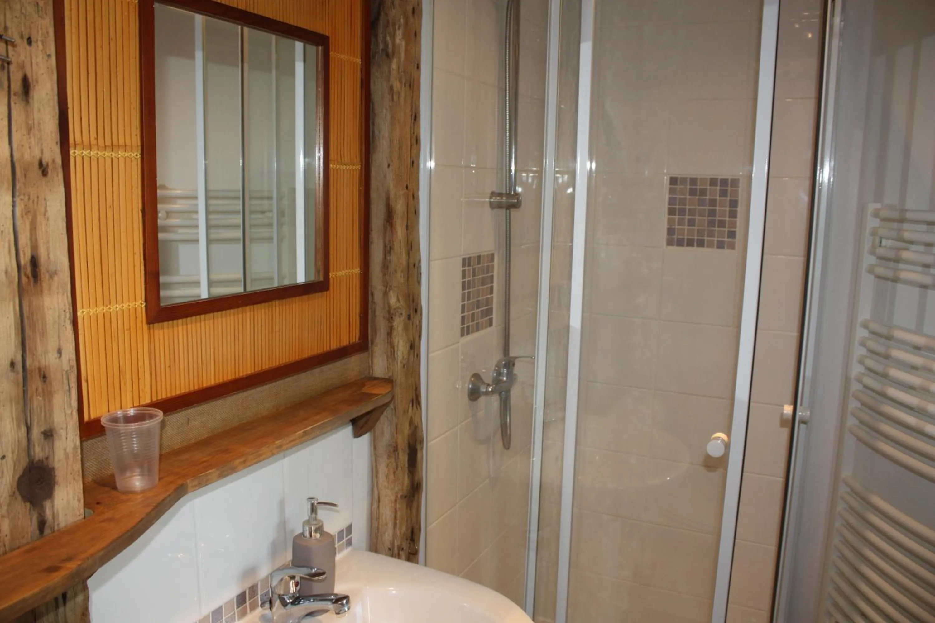 Shower in Chambres d'Hôtes La Vallée des Vignes