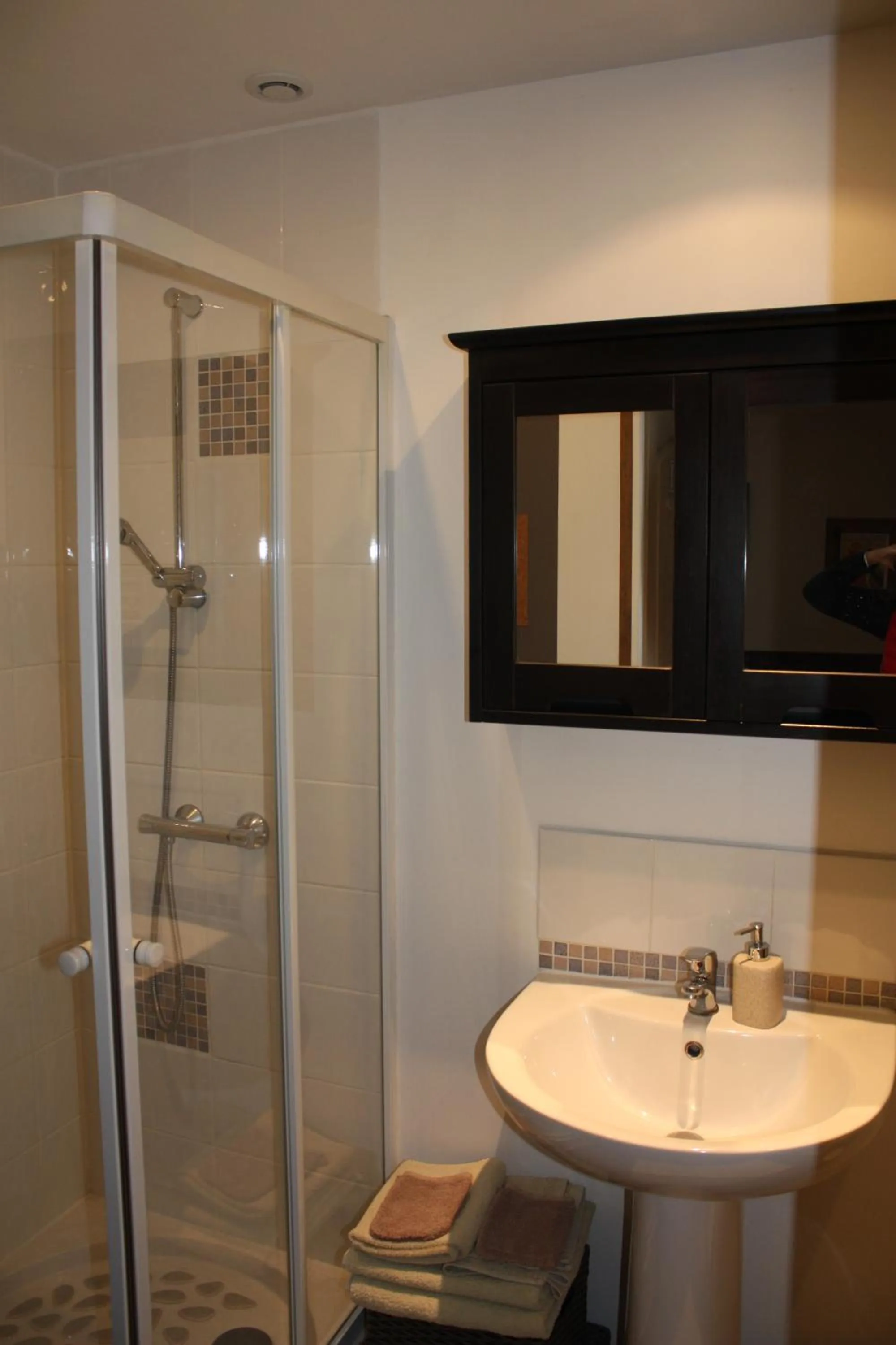 Shower in Chambres d'Hôtes La Vallée des Vignes