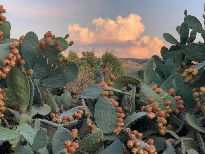 Natural landscape in Belli come il Sole