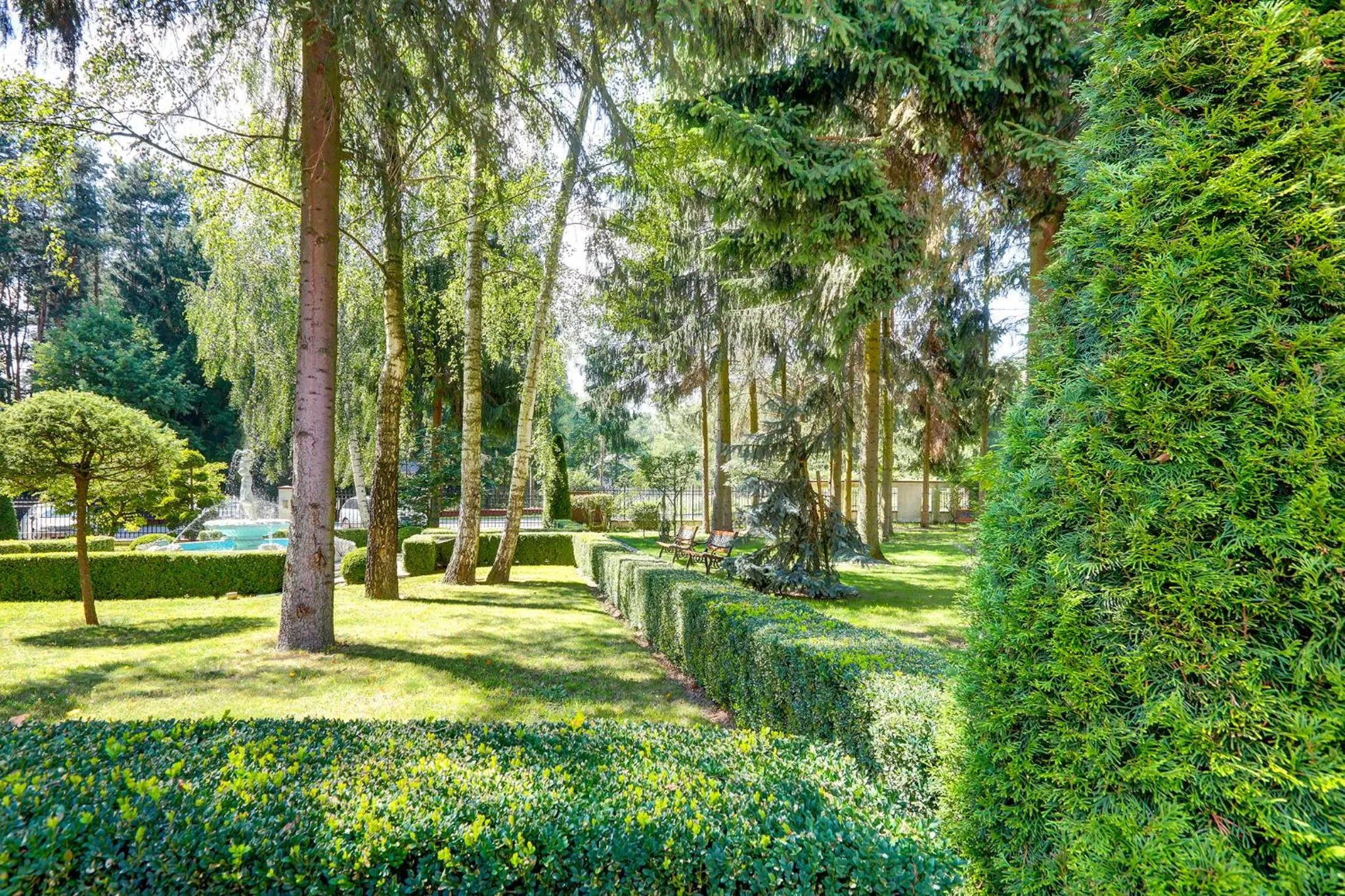 Garden in Hotel Afrodyta Business & Spa