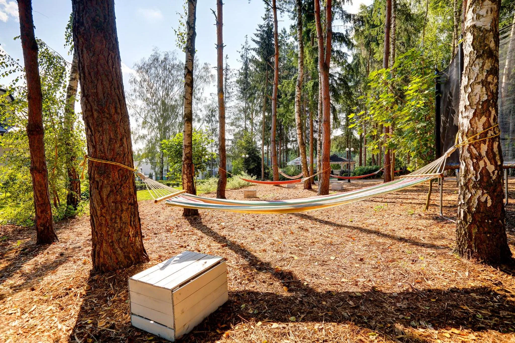 Garden in Hotel Afrodyta Business & Spa