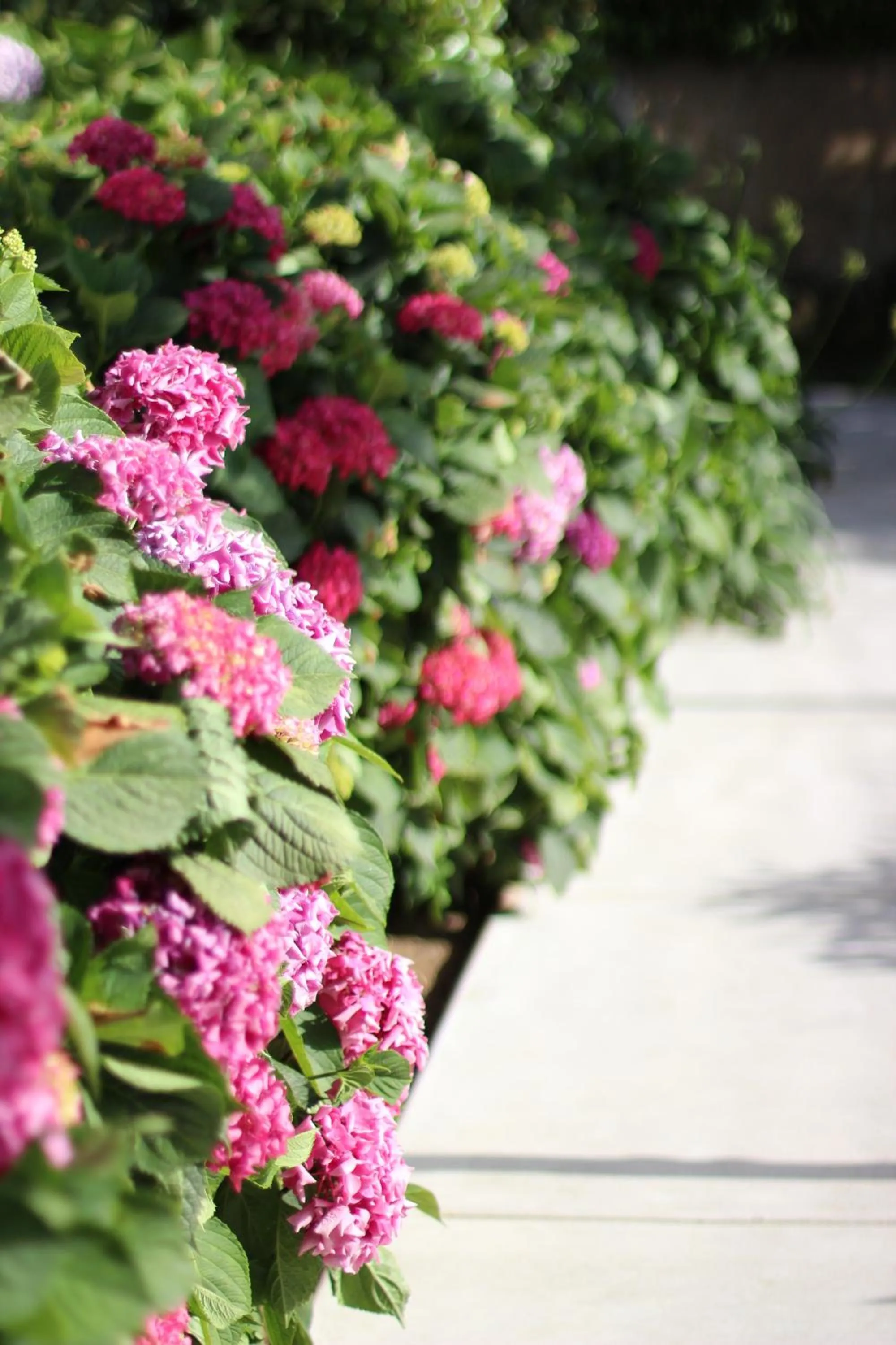 Garden in Il Borghetto Resort & Spa