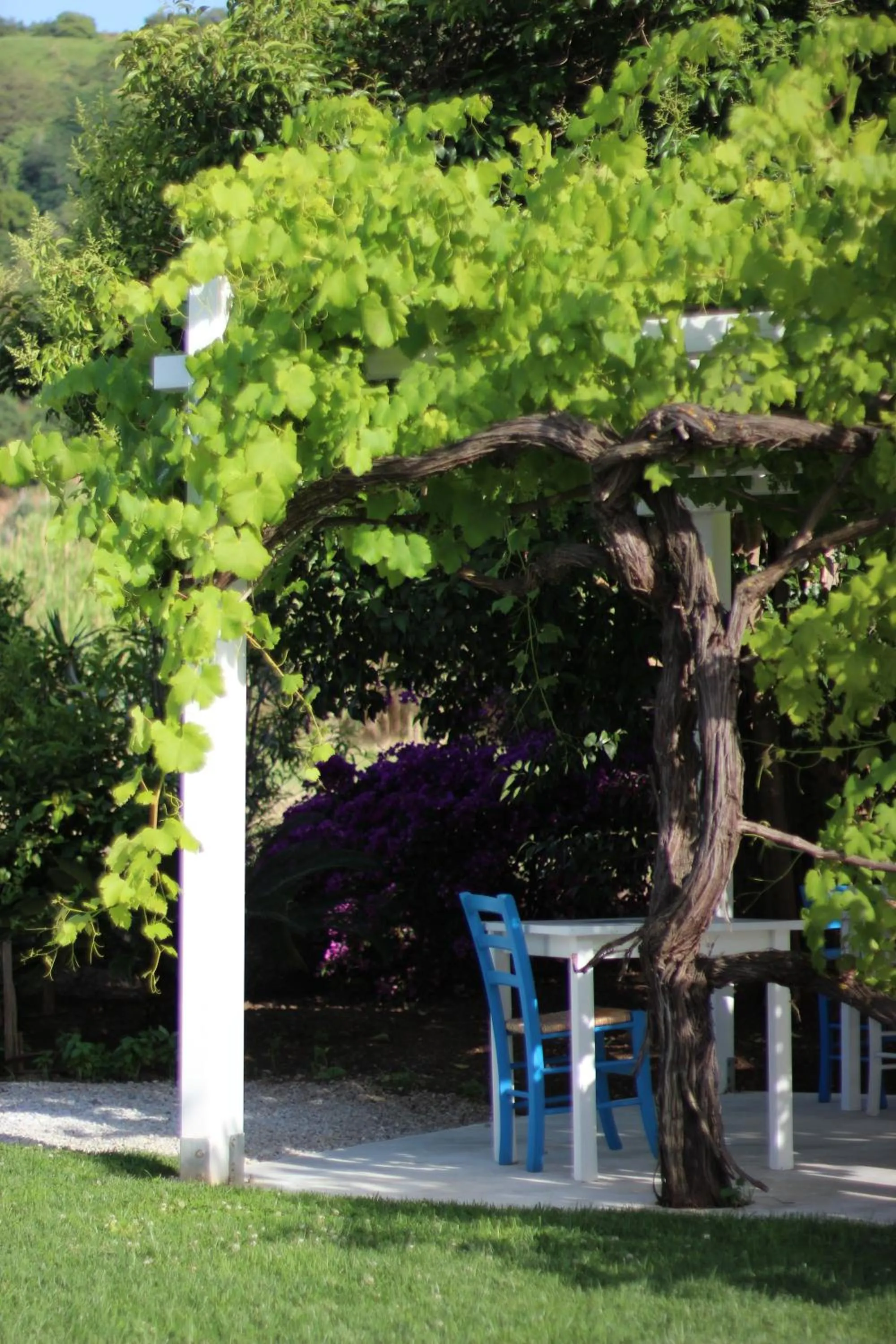 Garden view in Il Borghetto Resort & Spa