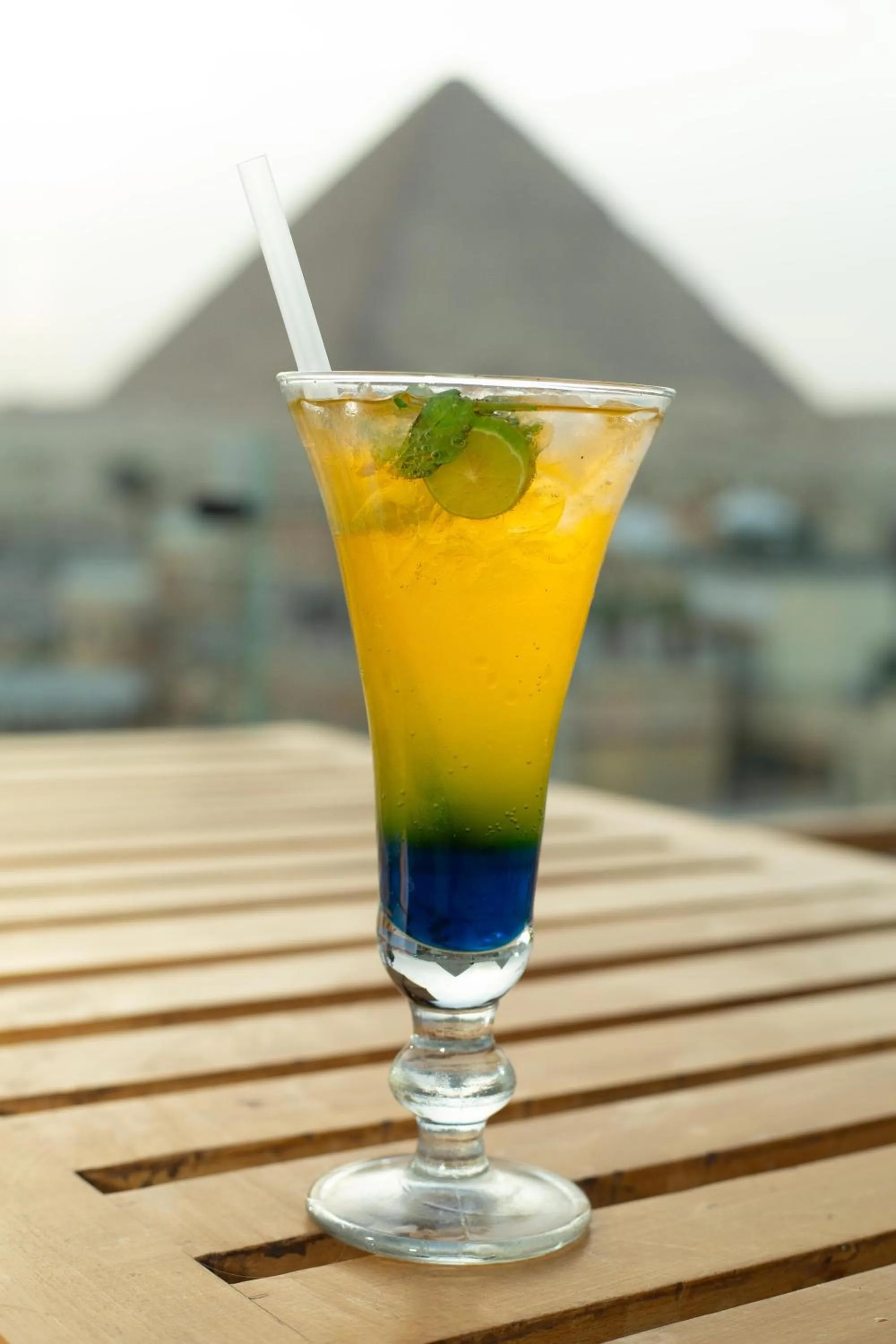 Hayat Pyramids View Hotel