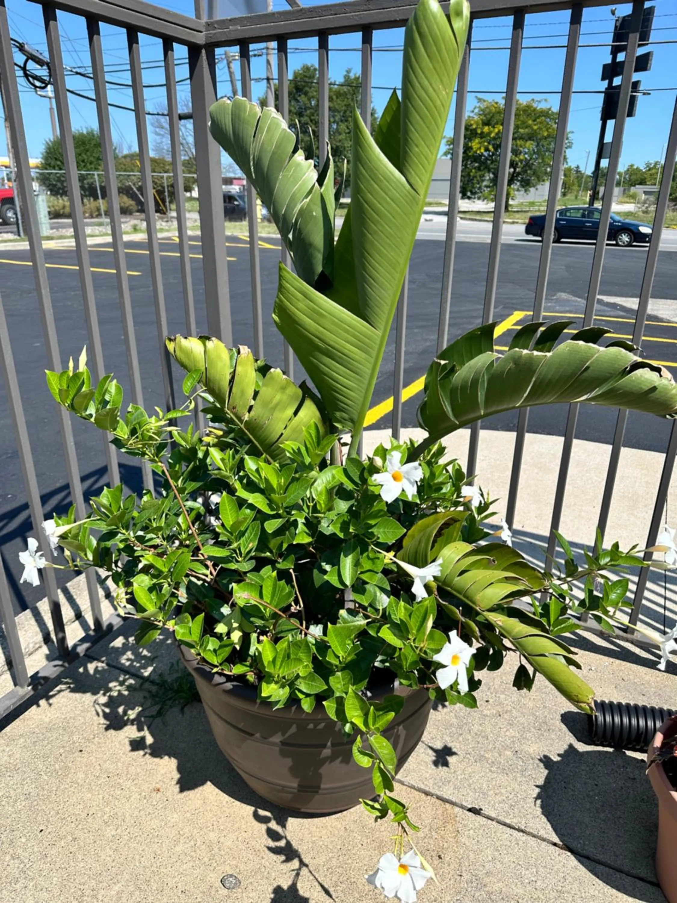 View (from property/room) in Motel 6-Fort Wayne, IN