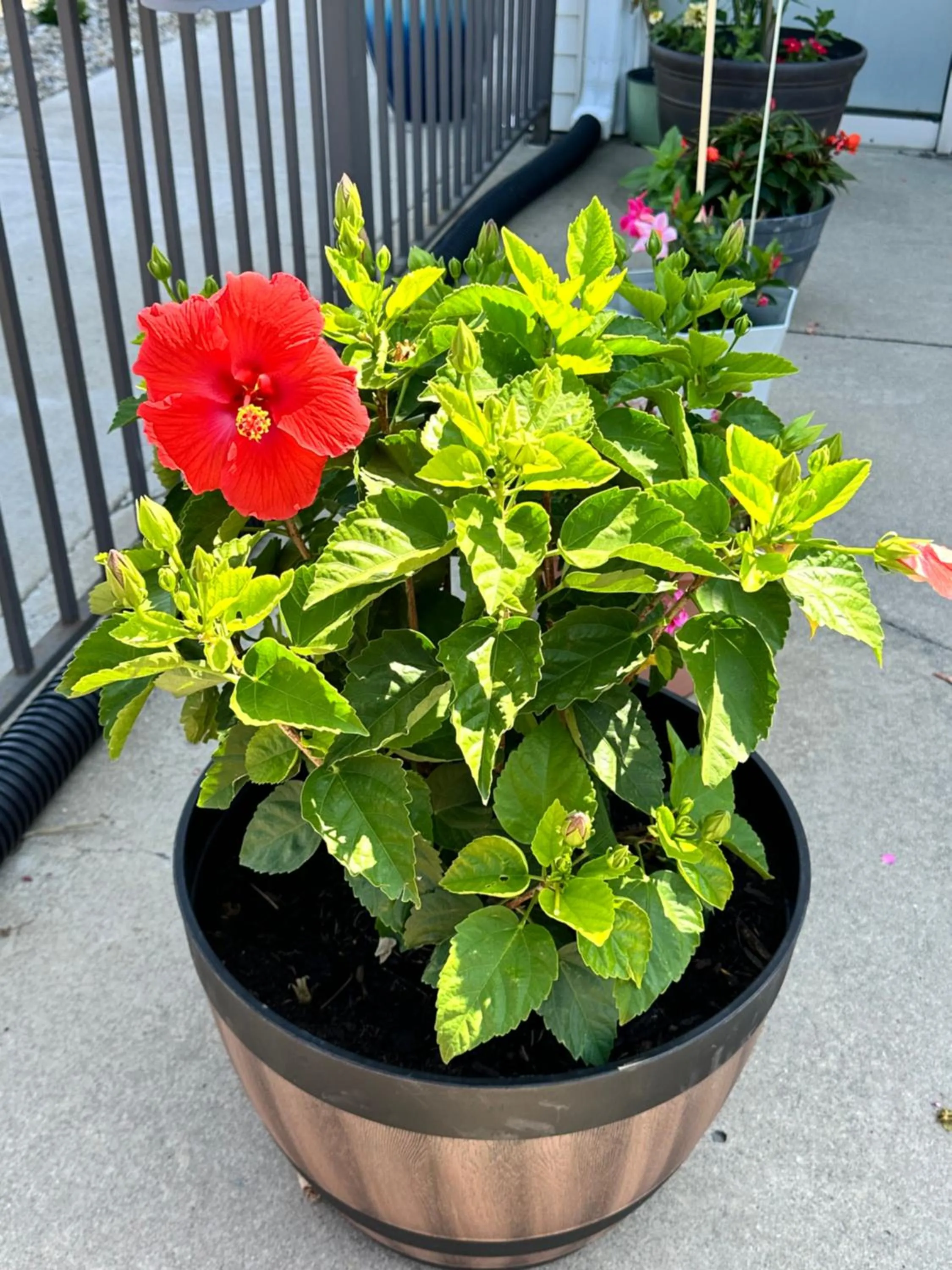View (from property/room) in Motel 6-Fort Wayne, IN