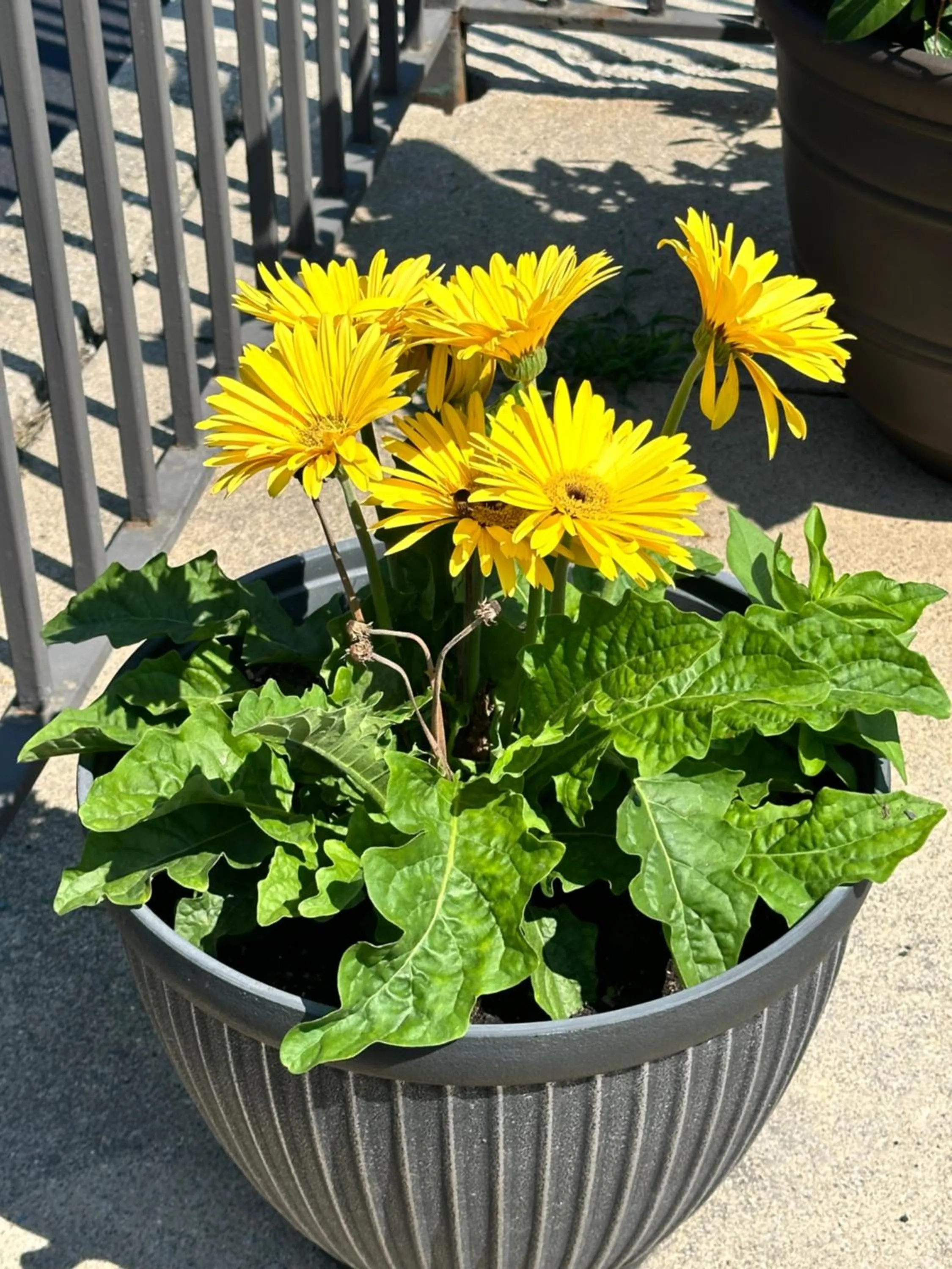 Property building in Motel 6-Fort Wayne, IN