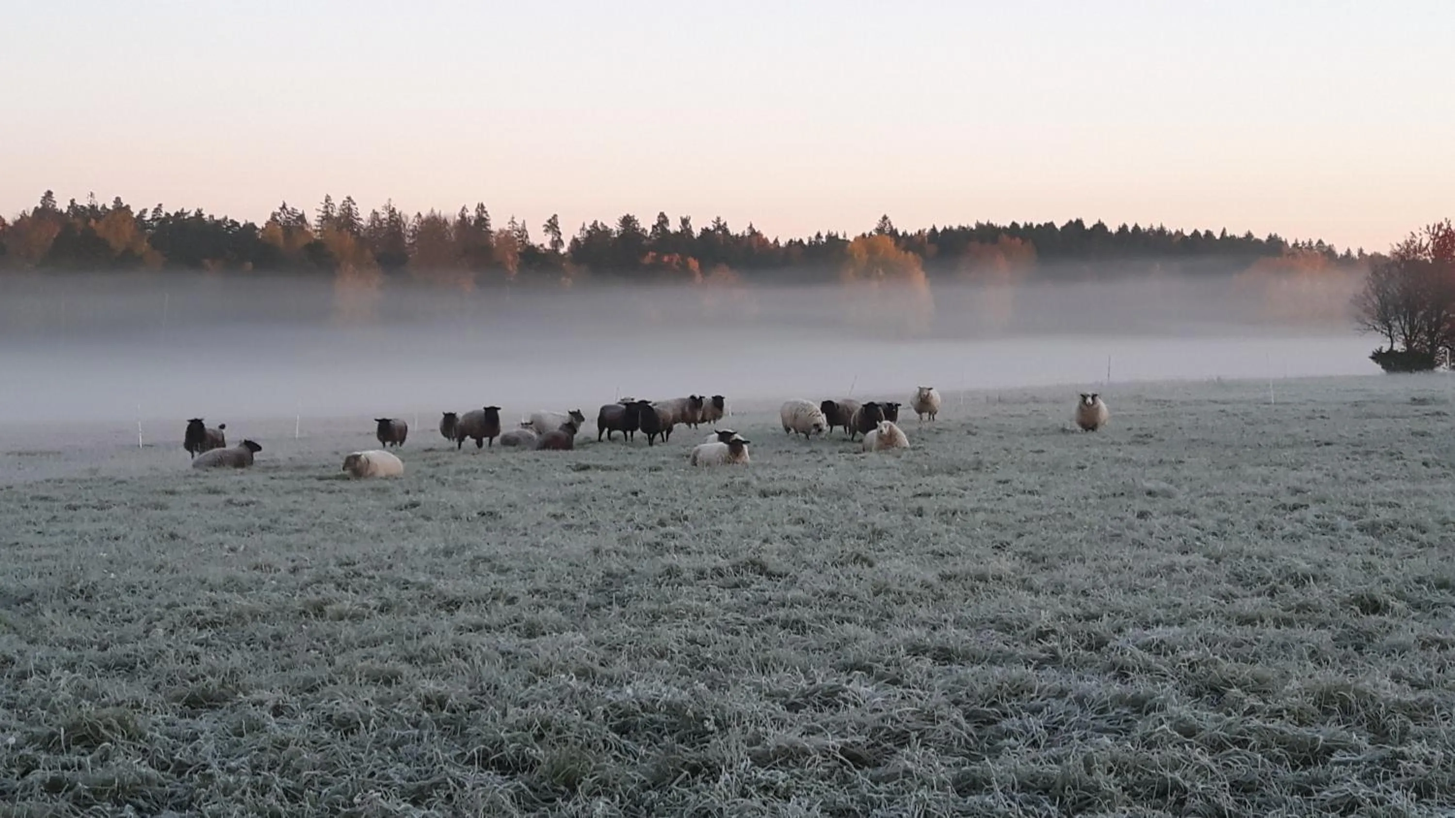 Natural landscape in Kullens Bed and Breakfast