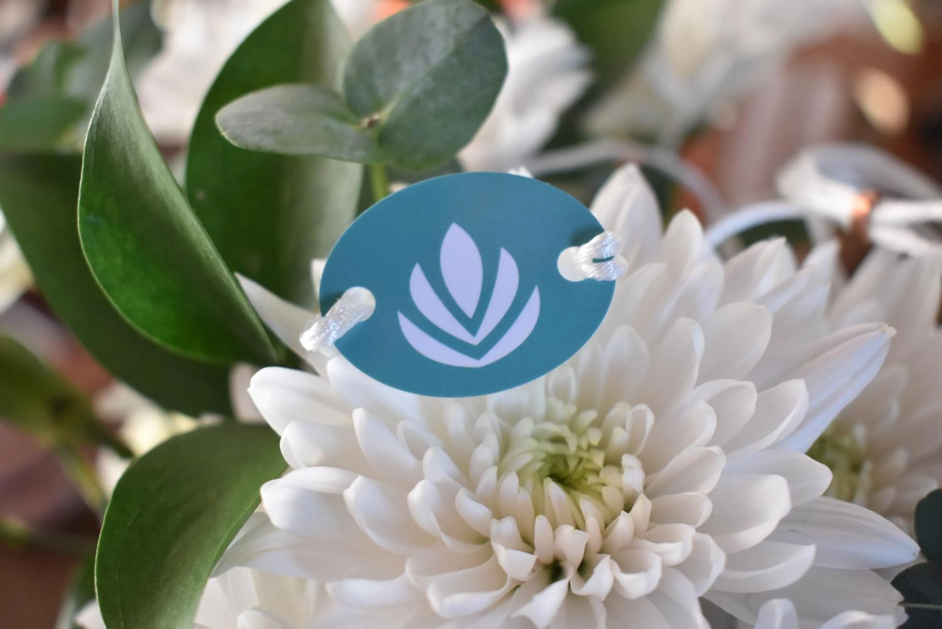 Other in Mystique Holbox by Royalton, A Tribute Portfolio Resort