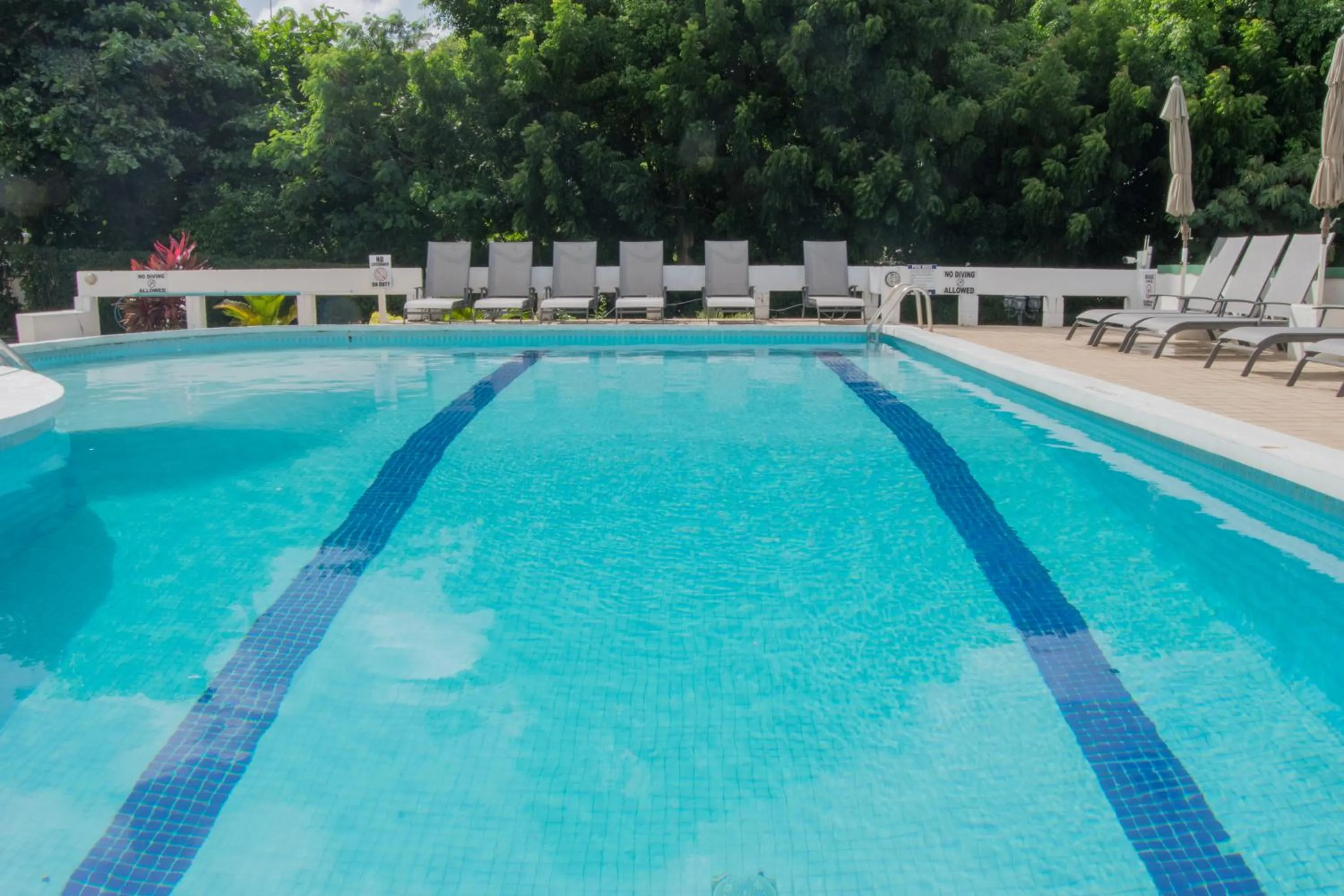 Pool view in Siesta Hotel