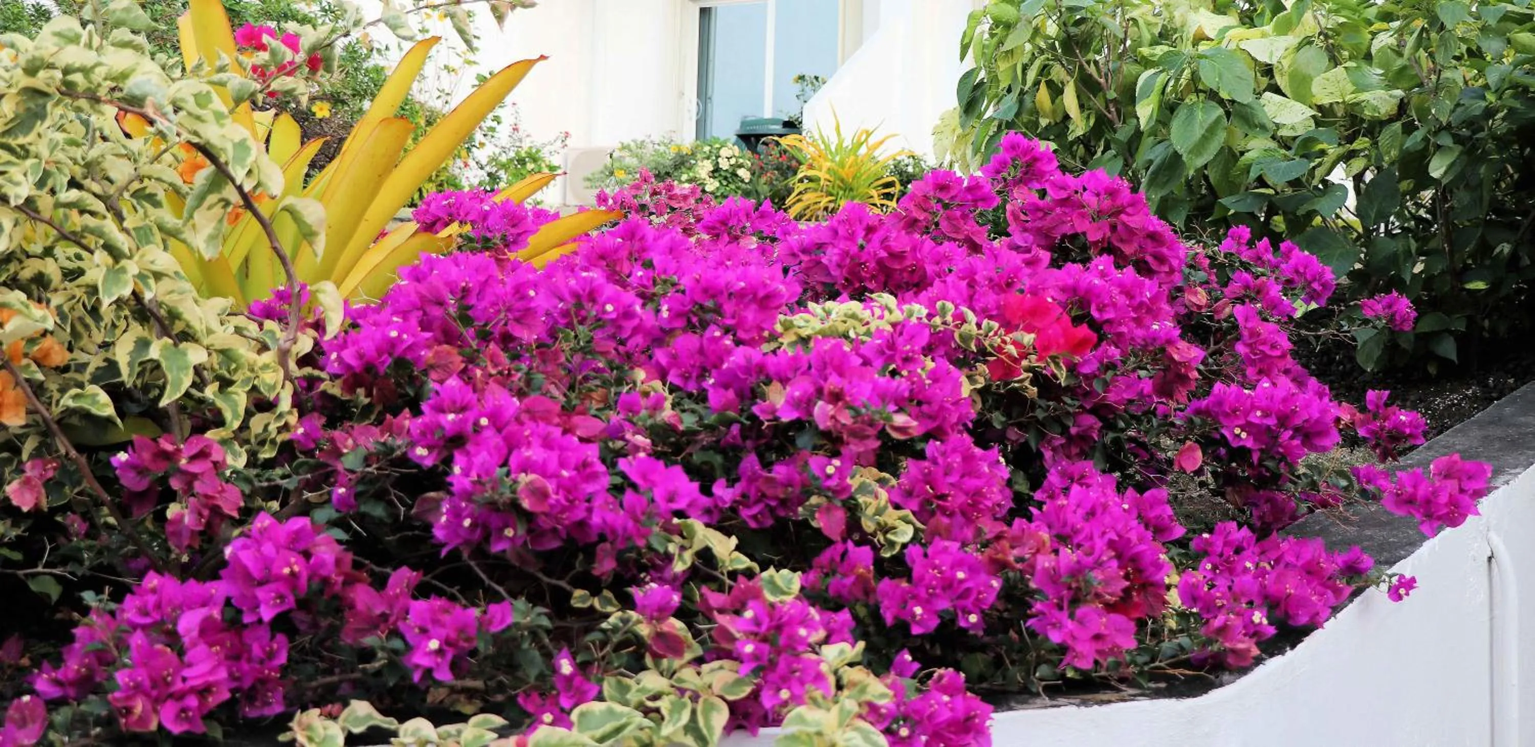 Property building in Siesta Hotel