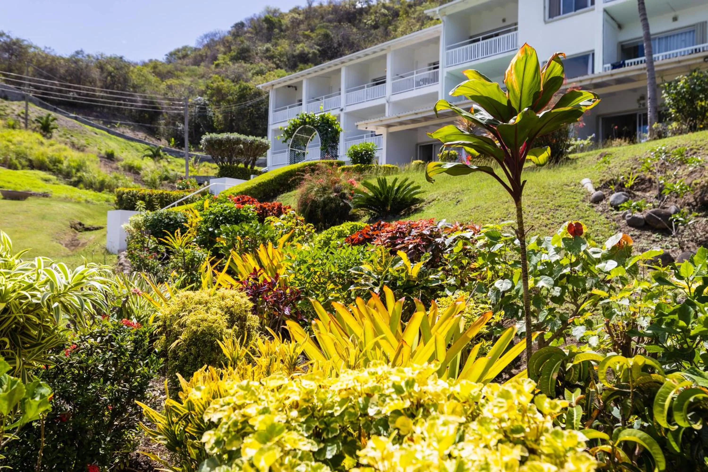 Garden in Siesta Hotel