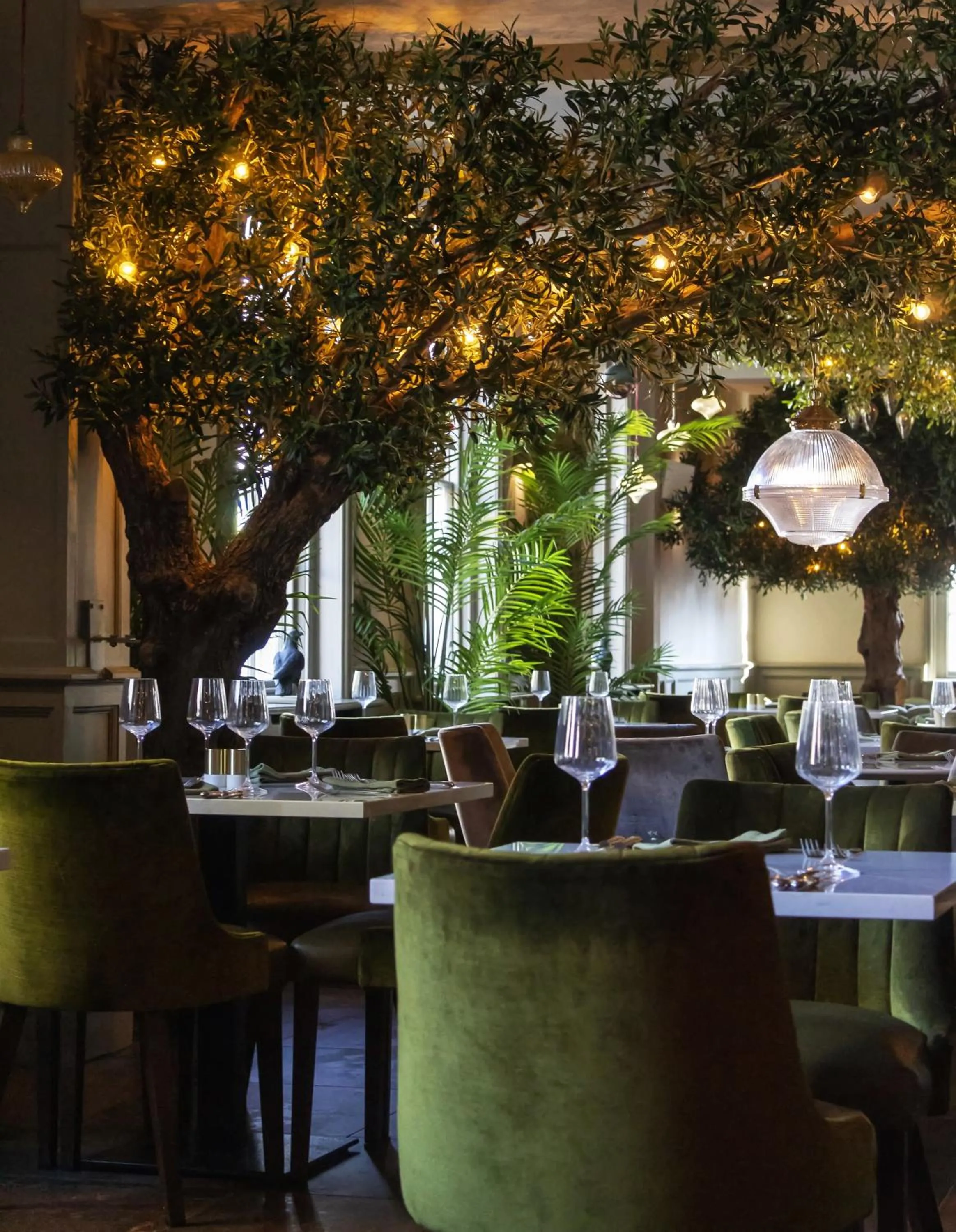 Restaurant/places to eat in J.D.Young