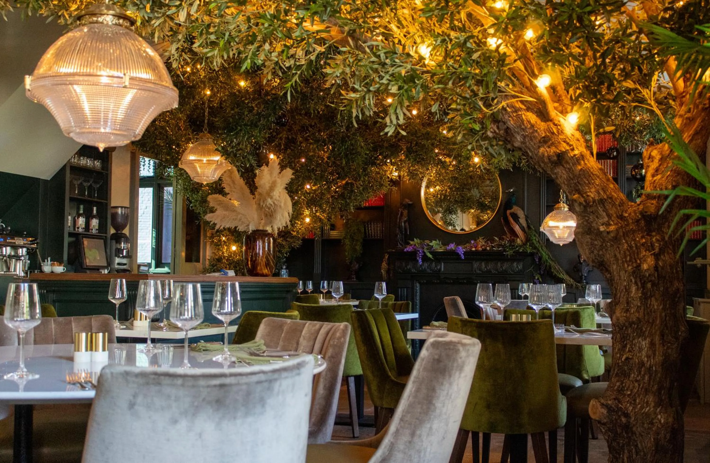 Restaurant/places to eat in J.D.Young