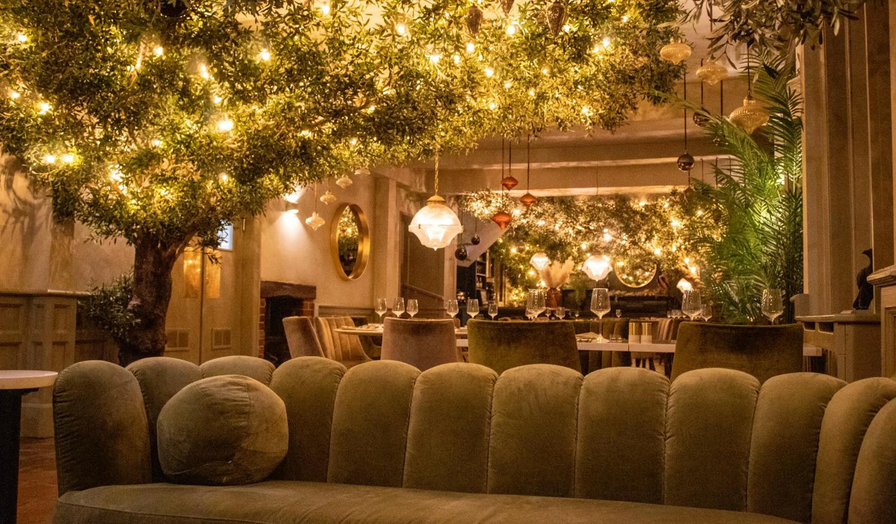 Restaurant/places to eat in J.D.Young