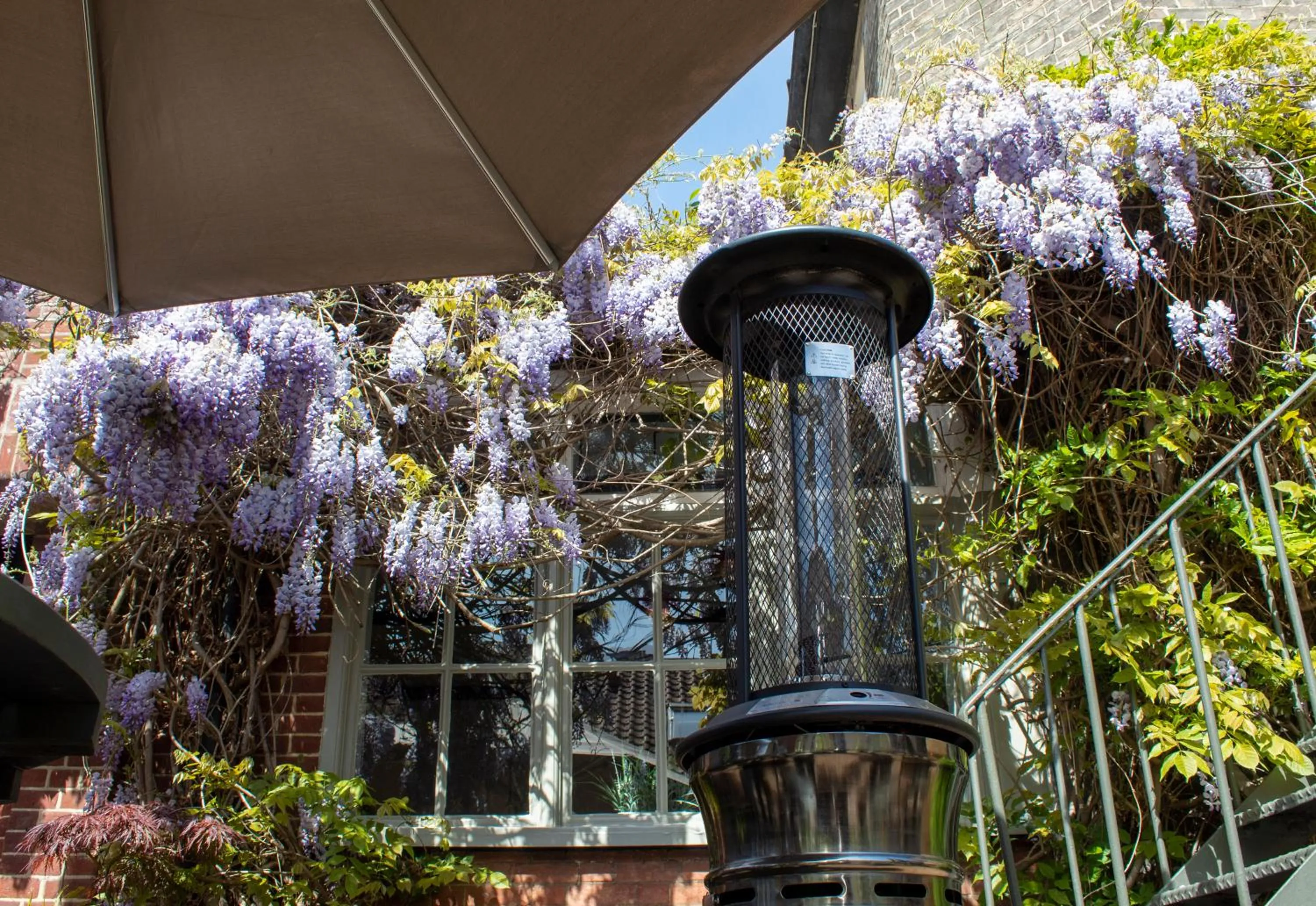 Restaurant/places to eat in J.D.Young