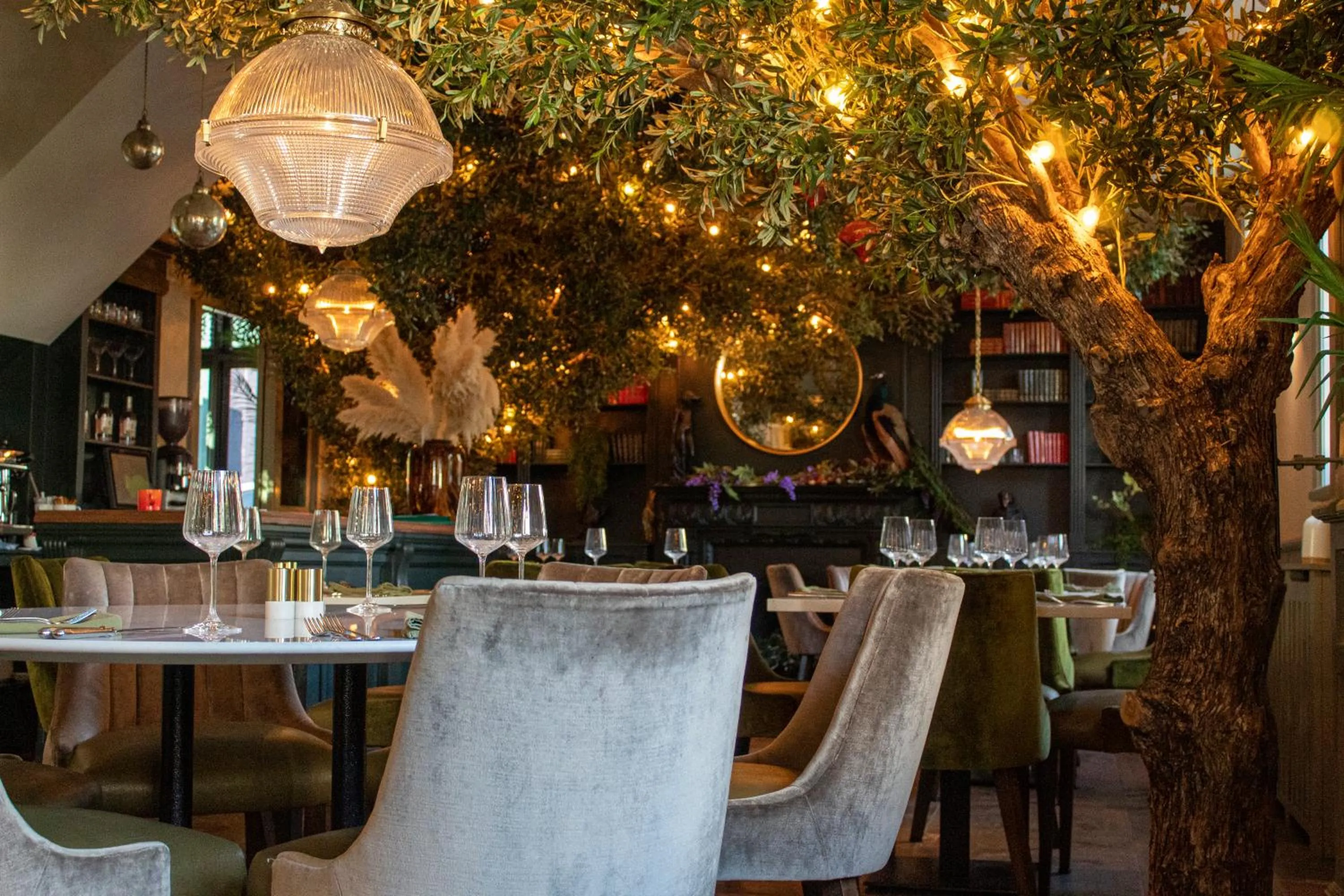 Restaurant/places to eat in J.D.Young