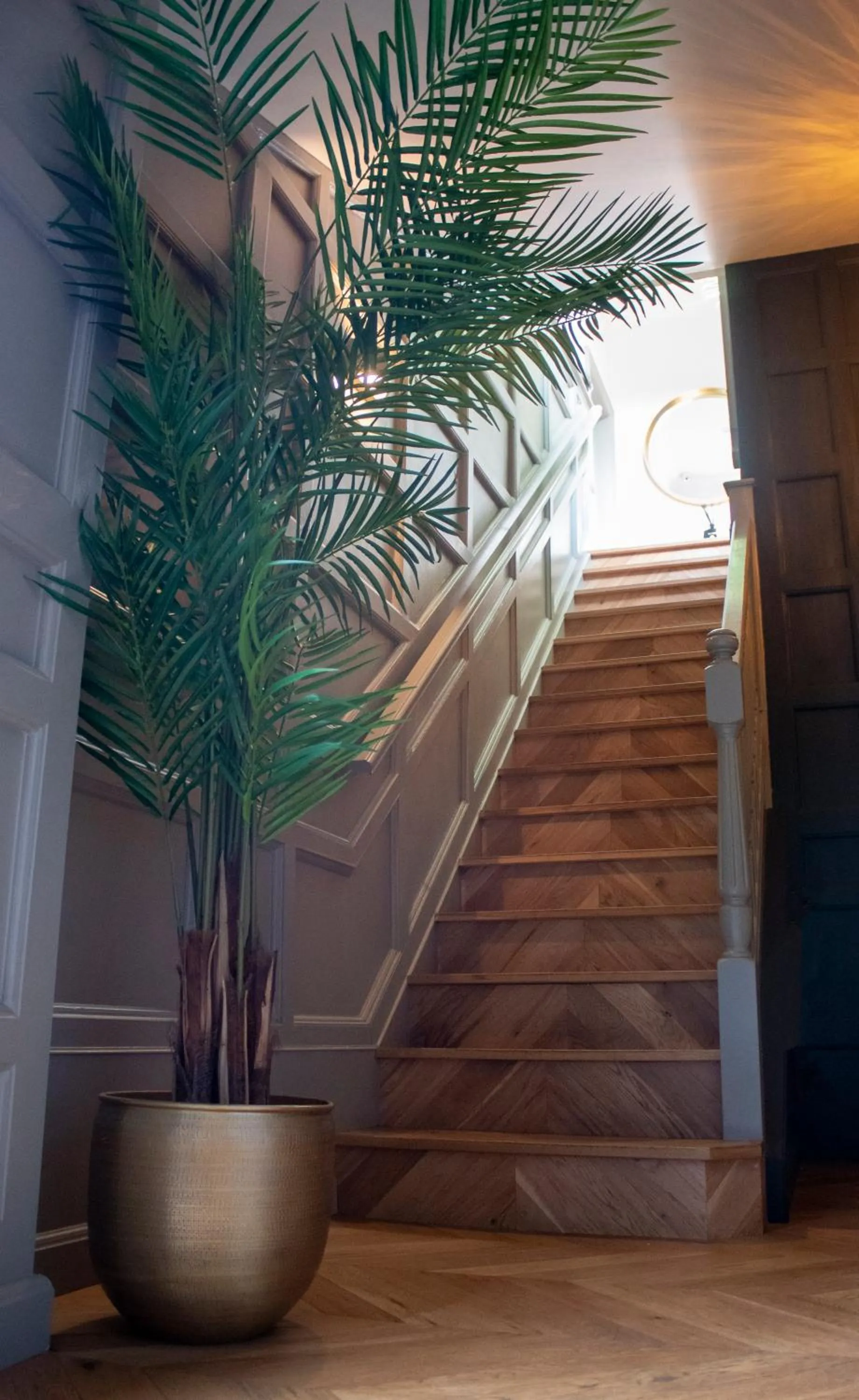 Lobby or reception in J.D.Young