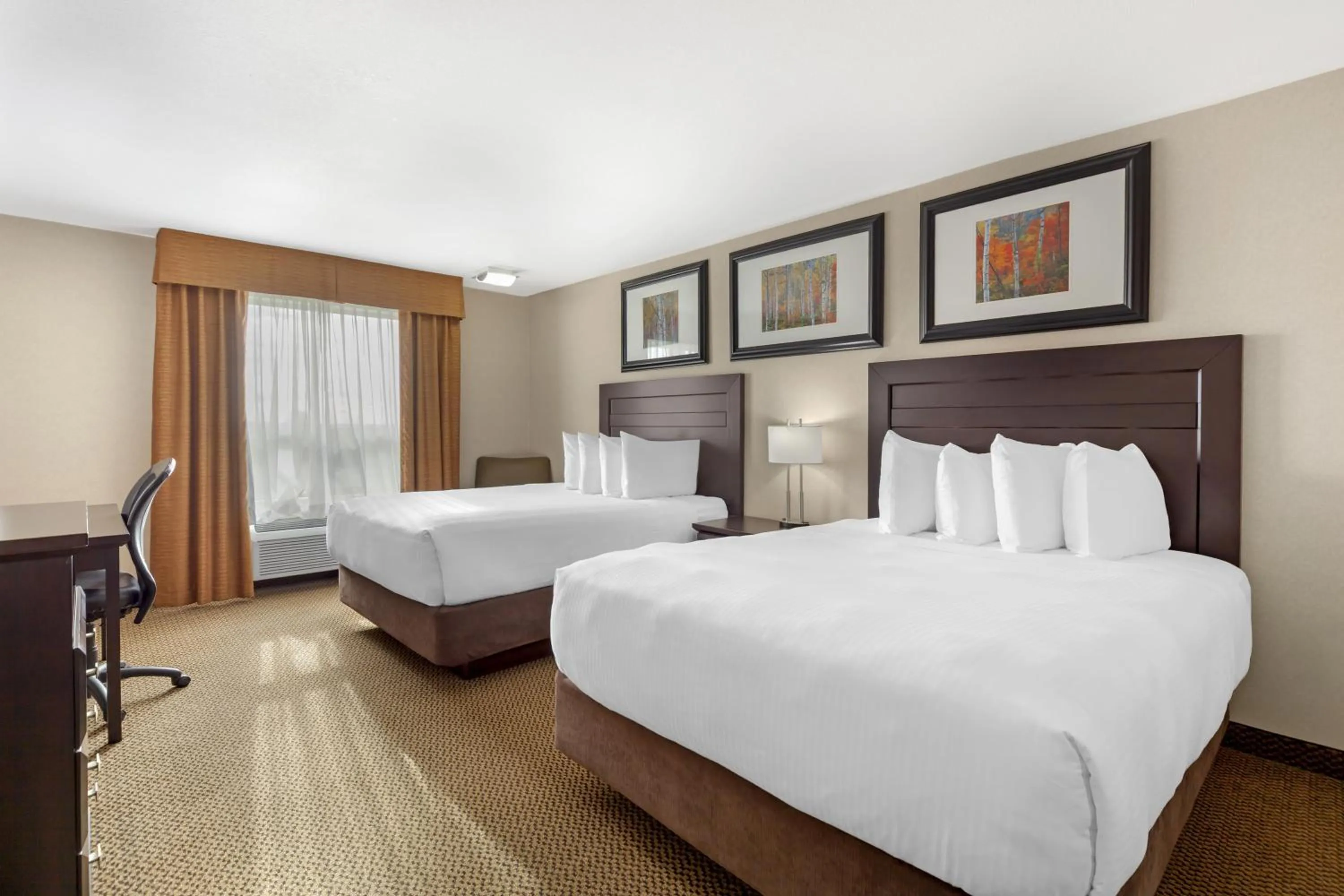 Bedroom, Bed in Best Western Bonnyville Inn & Suites