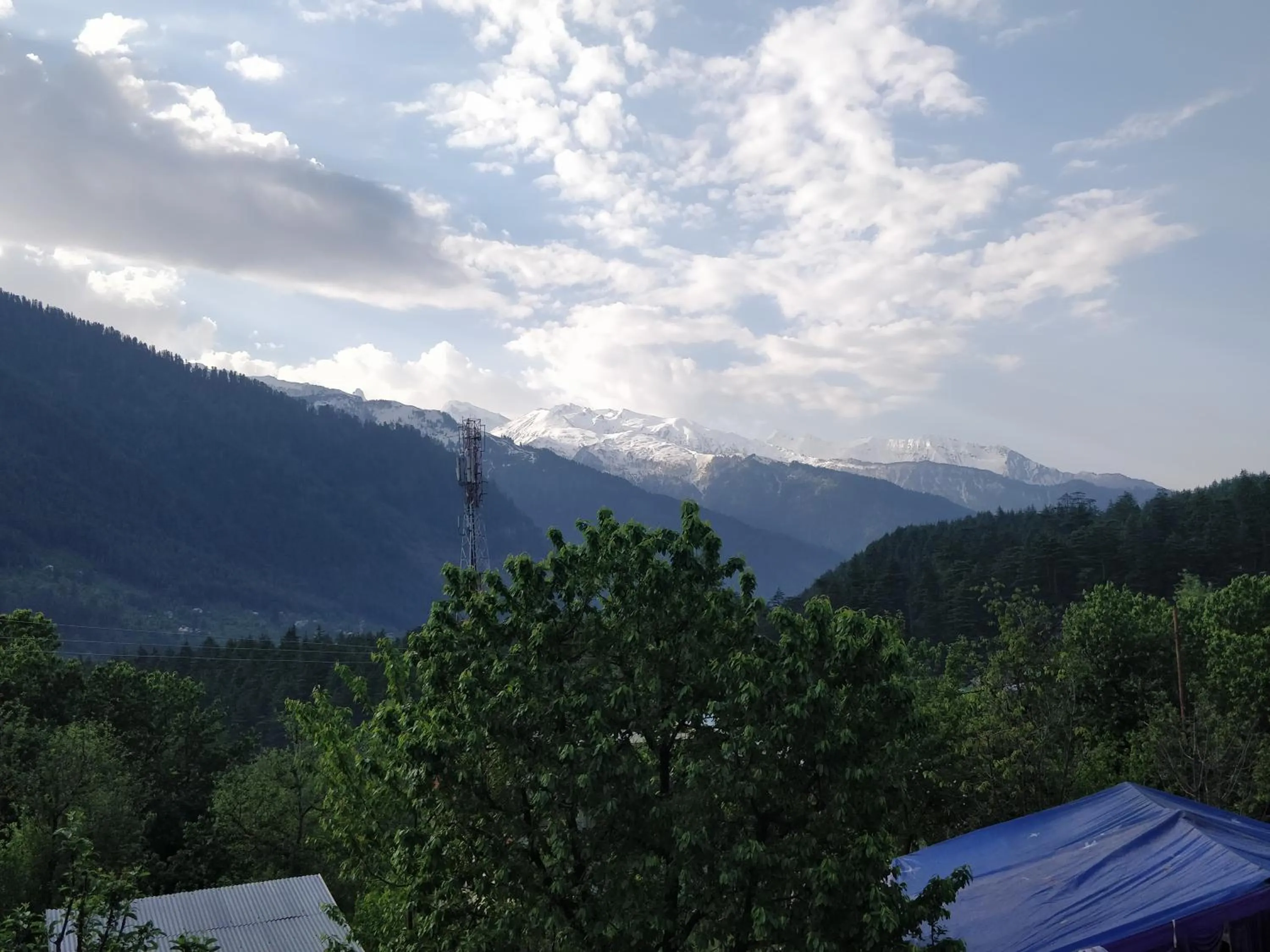 Madpackers Manali