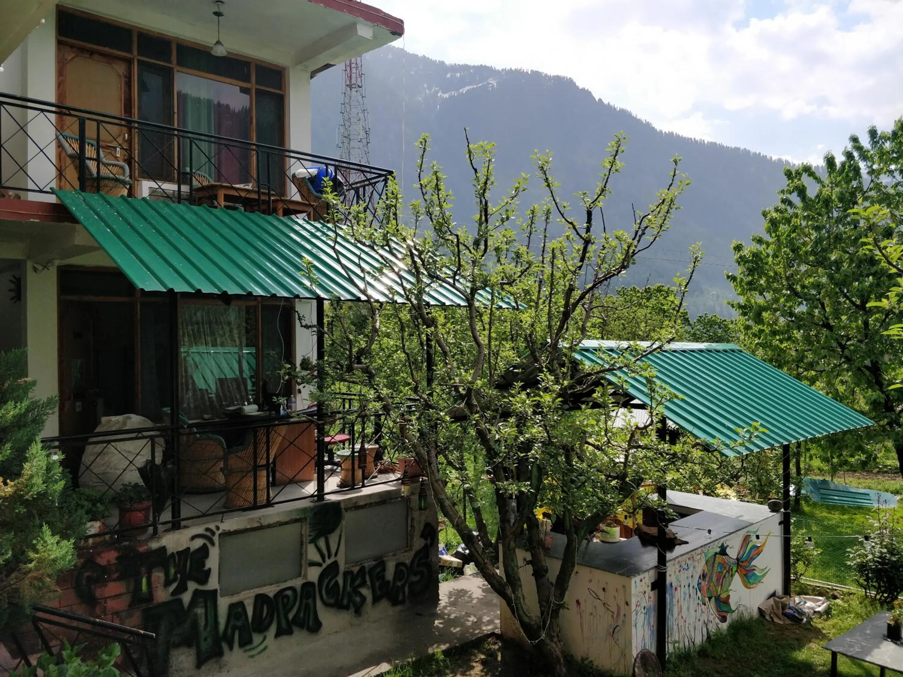 Mountain view in Madpackers Manali